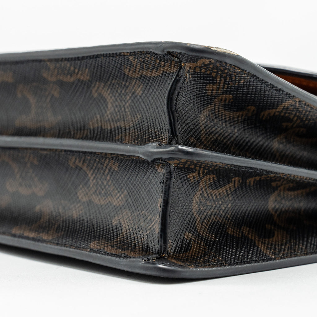 CELINE WALLET ON STRAP TRIOMPHE CANVAS / SMOOTH LAMBSKIN TAN GHW