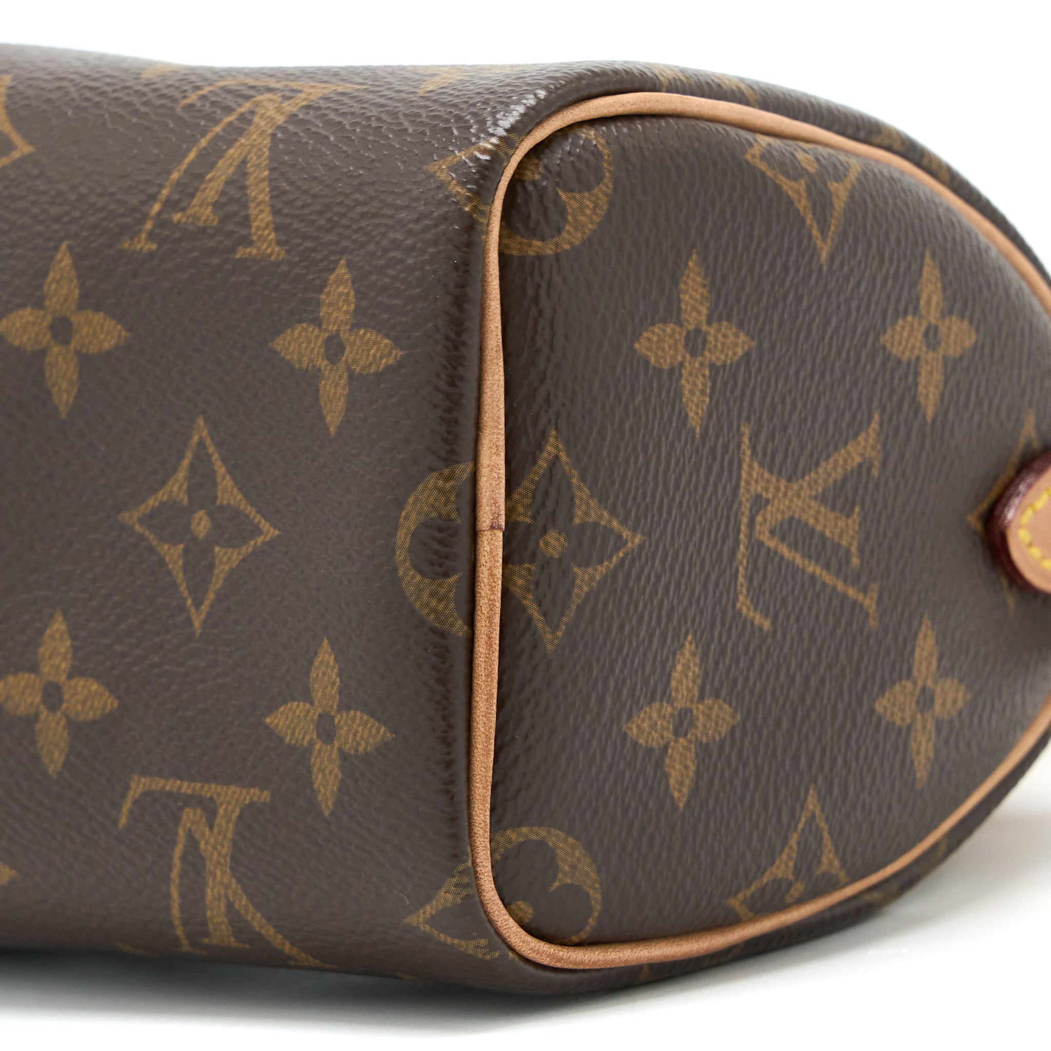 LOUIS VUITTON NANO SPEEDY MONOGRAM CANVAS GHW