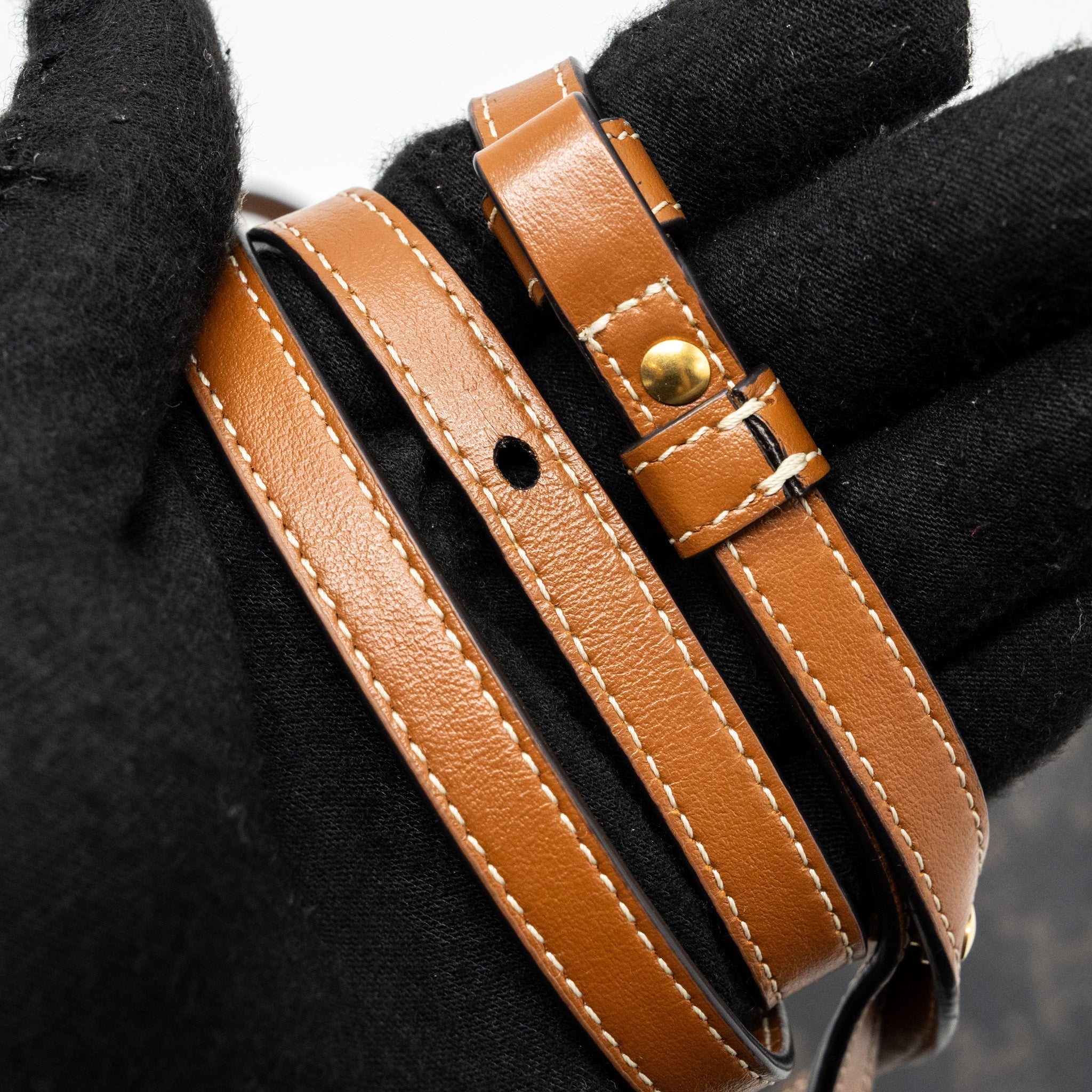 CELINE WALLET ON STRAP TRIOMPHE CANVAS/SMOOTH LAMBSKIN TAN GHW