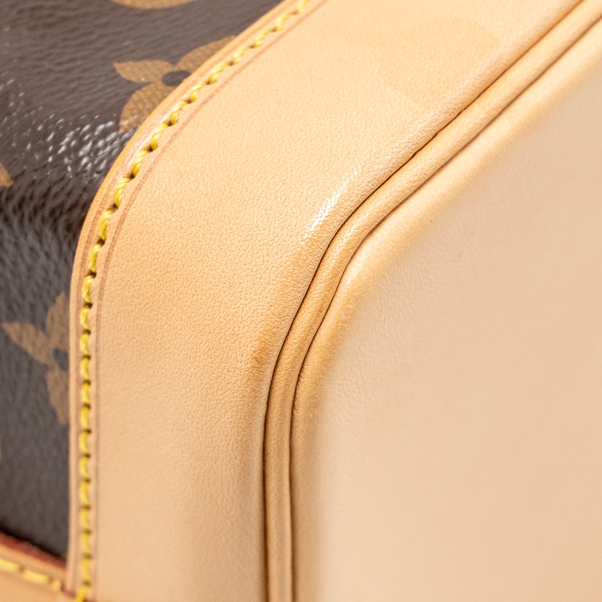 LOUIS VUITTON NOE BB MONOGRAM CANVAS GHW