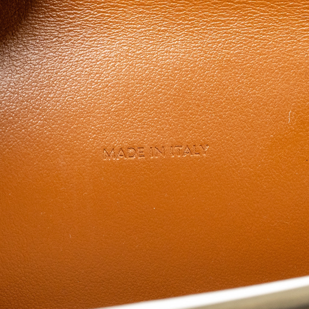 CELINE WALLET ON STRAP TRIOMPHE CANVAS / SMOOTH LAMBSKIN TAN GHW