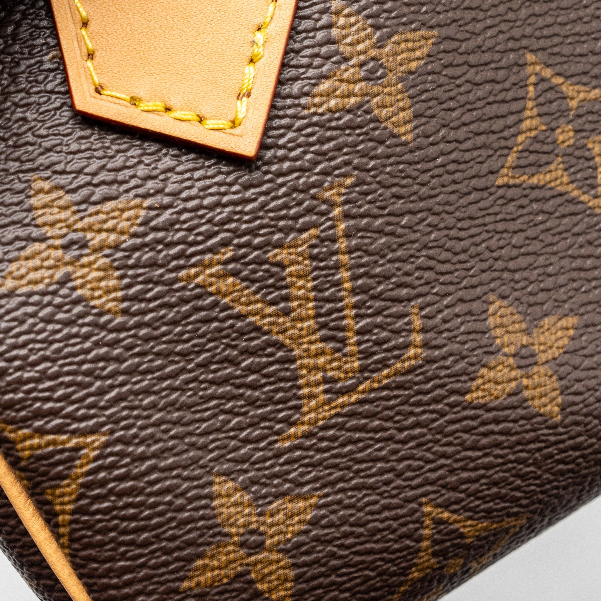 LOUIS VUITTON NANO SPEEDY MONOGRAM CANVAS GHW