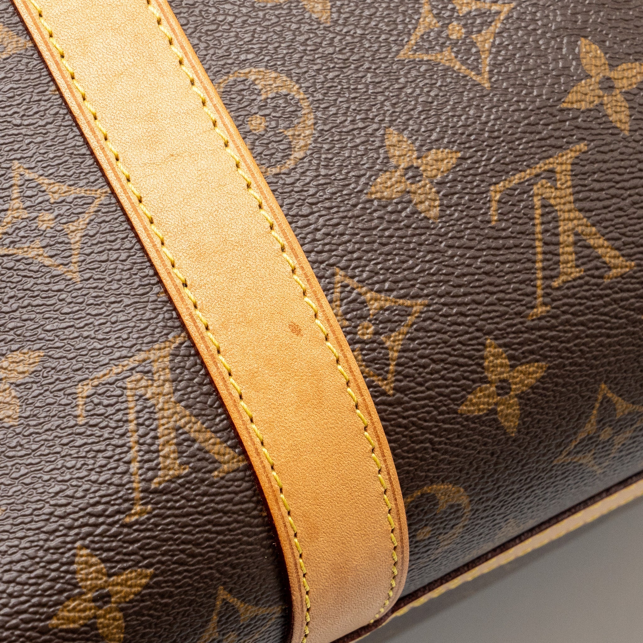 LOUIS VUITTON DOG BAG MONOGRAM CANVAS GHW