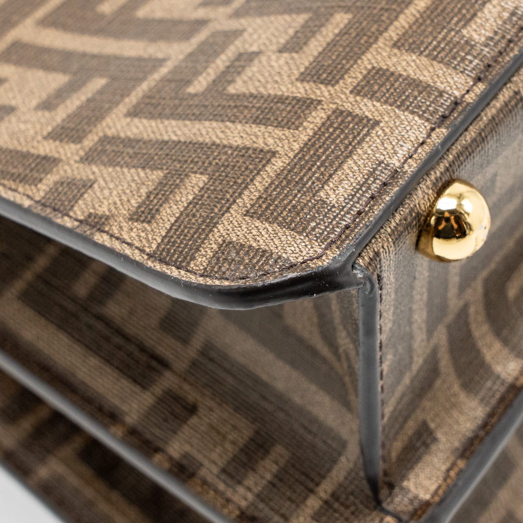 FENDI PEEKABOO ISEEU ANTONIO LOPEZ ZUCCA COATED CANVAS MULTICOLOUR GHW
