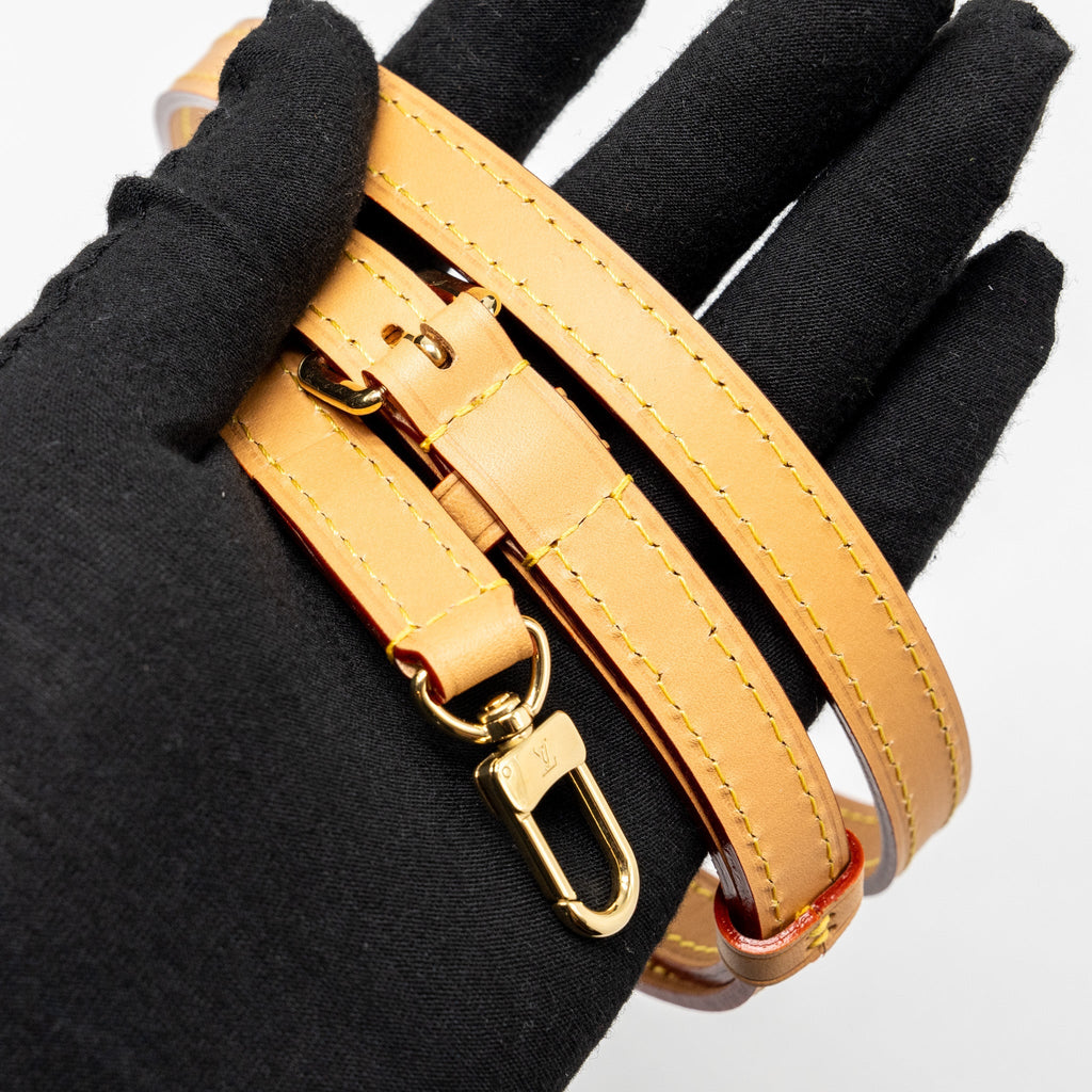 LOUIS VUITTON NANO NOE MONOGRAM CANVAS GHW