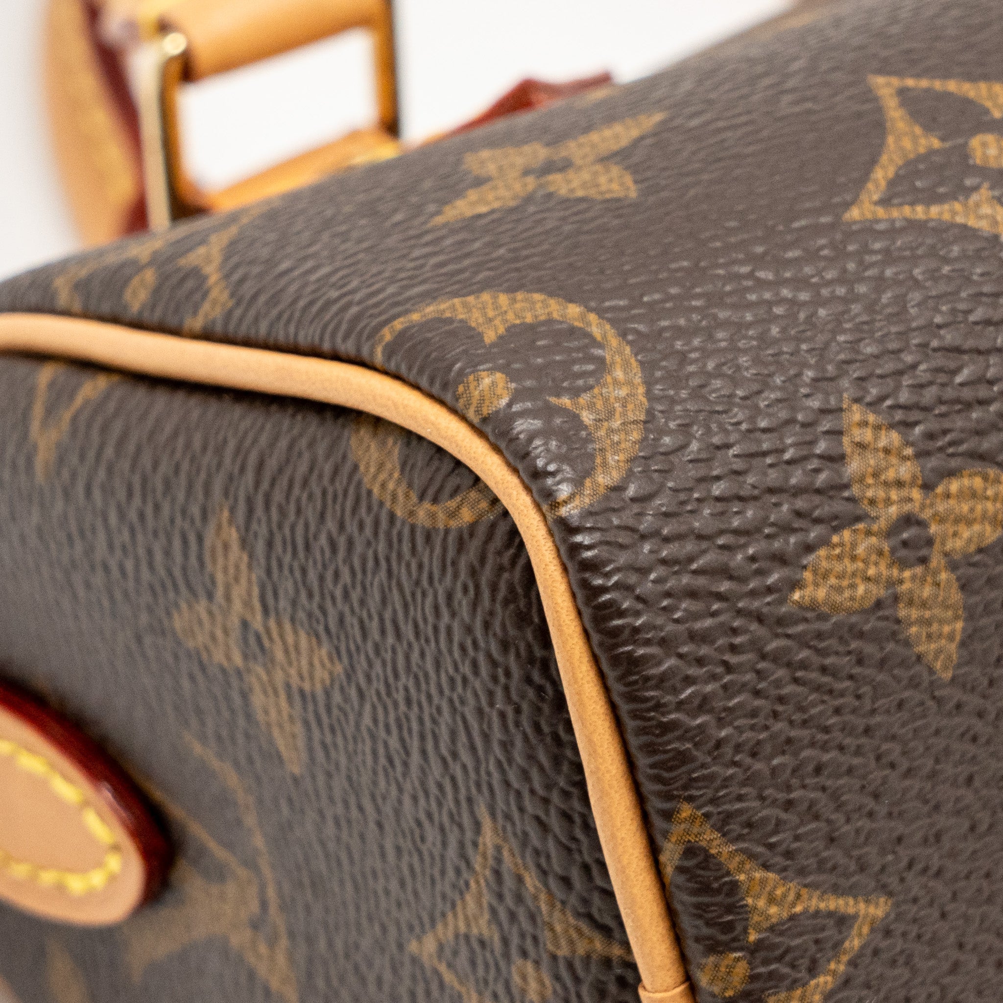 LOUIS VUITTON NANO SPEEDY MONOGRAM CANVAS GHW