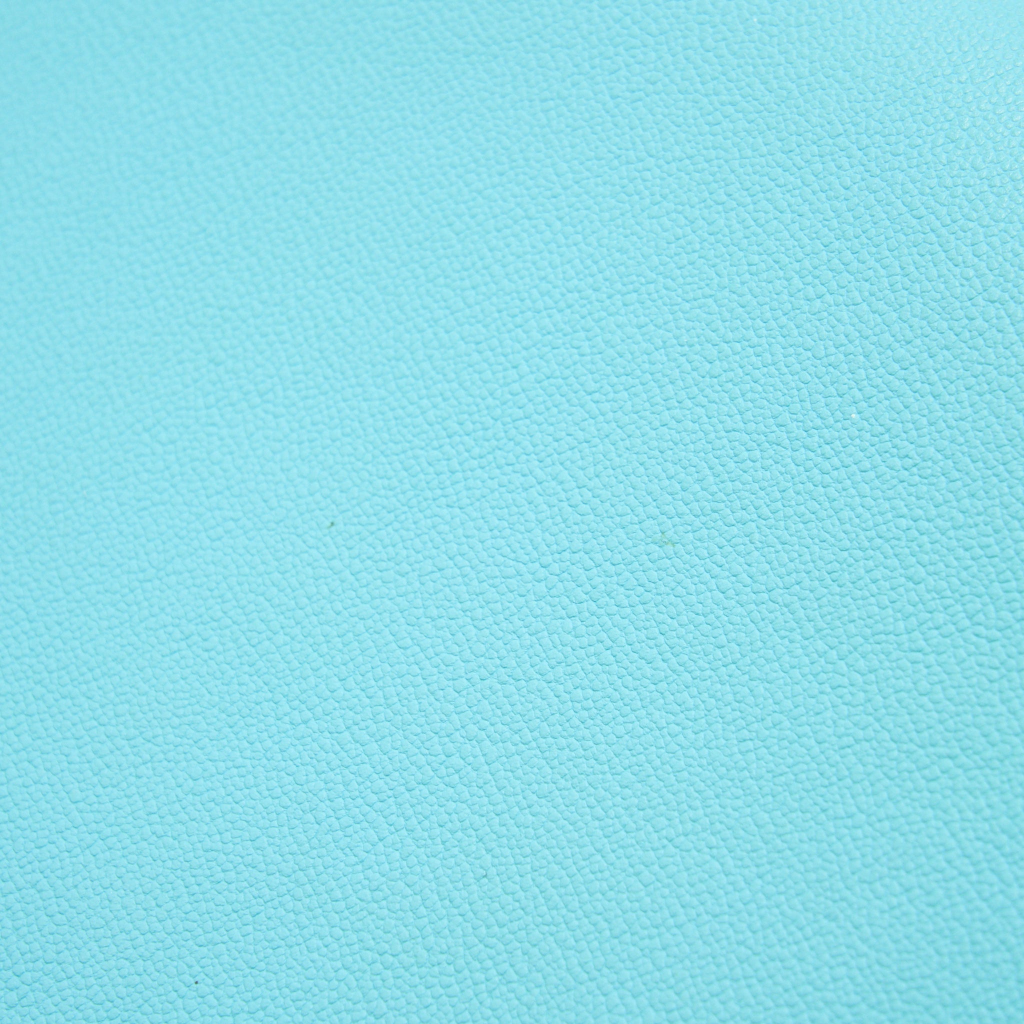 DELVAUX BRILLIANT MM IN TURQUOISE CALFSKIN SHW