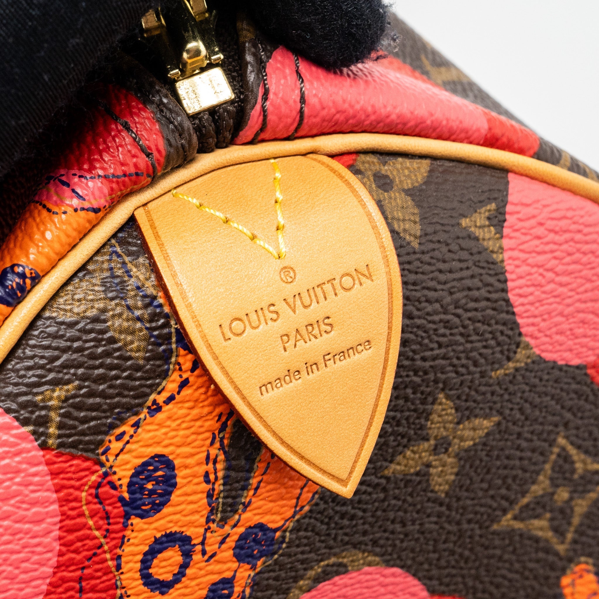 LOUIS VUITTON SPEEDY 30 RAMAGE MONOGRAM CANVAS GHW