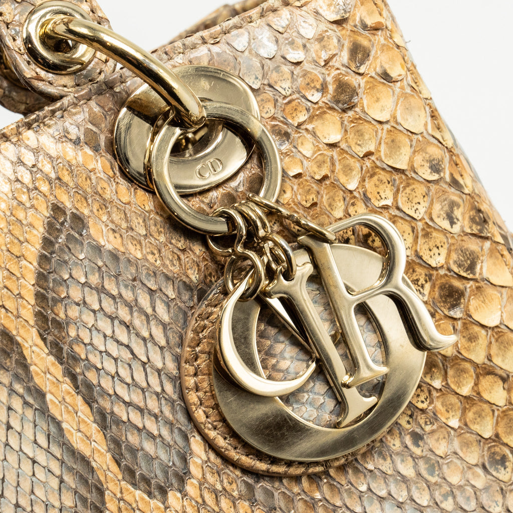 DIOR MEDIUM LADY DIOR PYTHON MULTICOLOUR LGHW