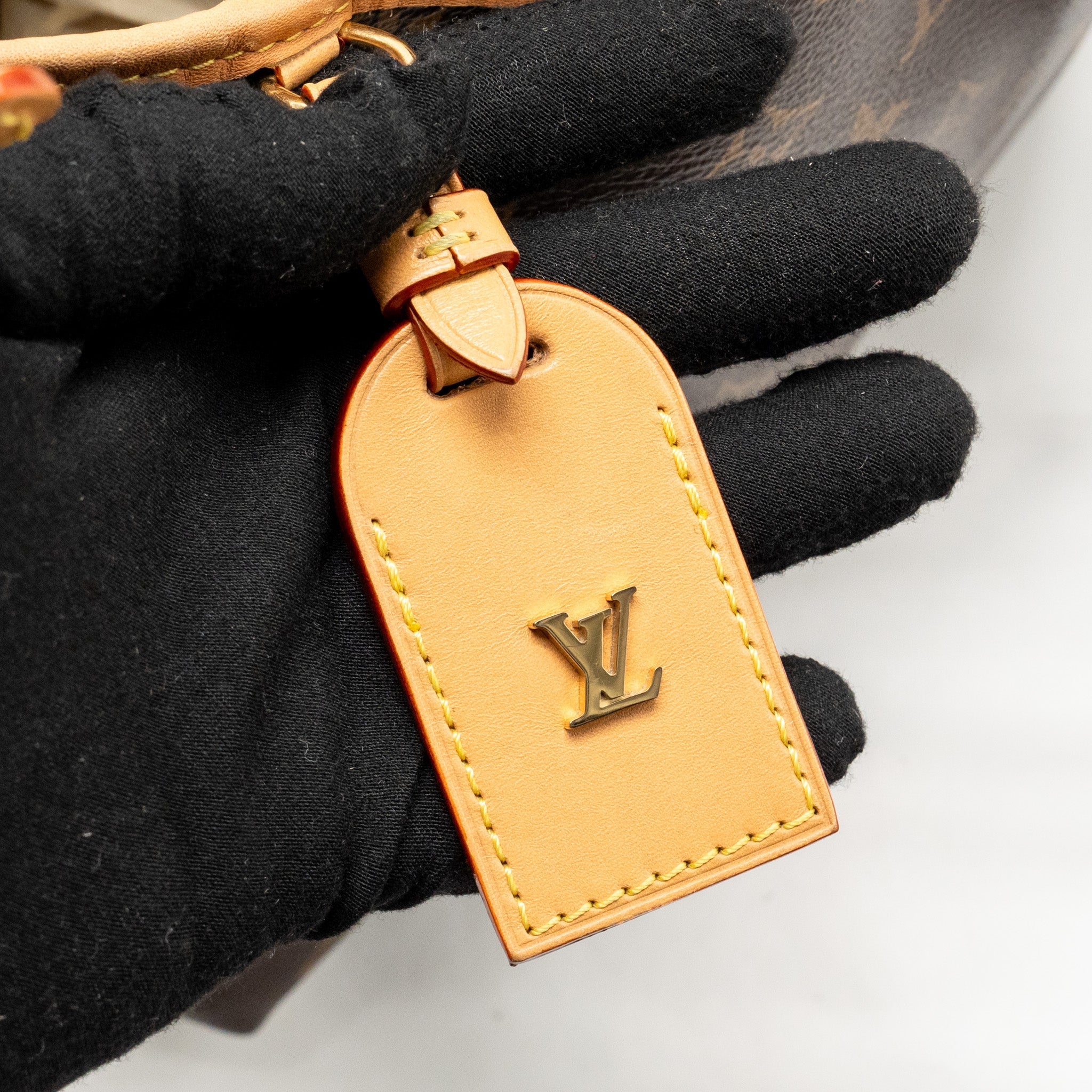 LOUIS VUITTON CARRYALL PM MONOGRAM CANVAS/LEATHER GHW