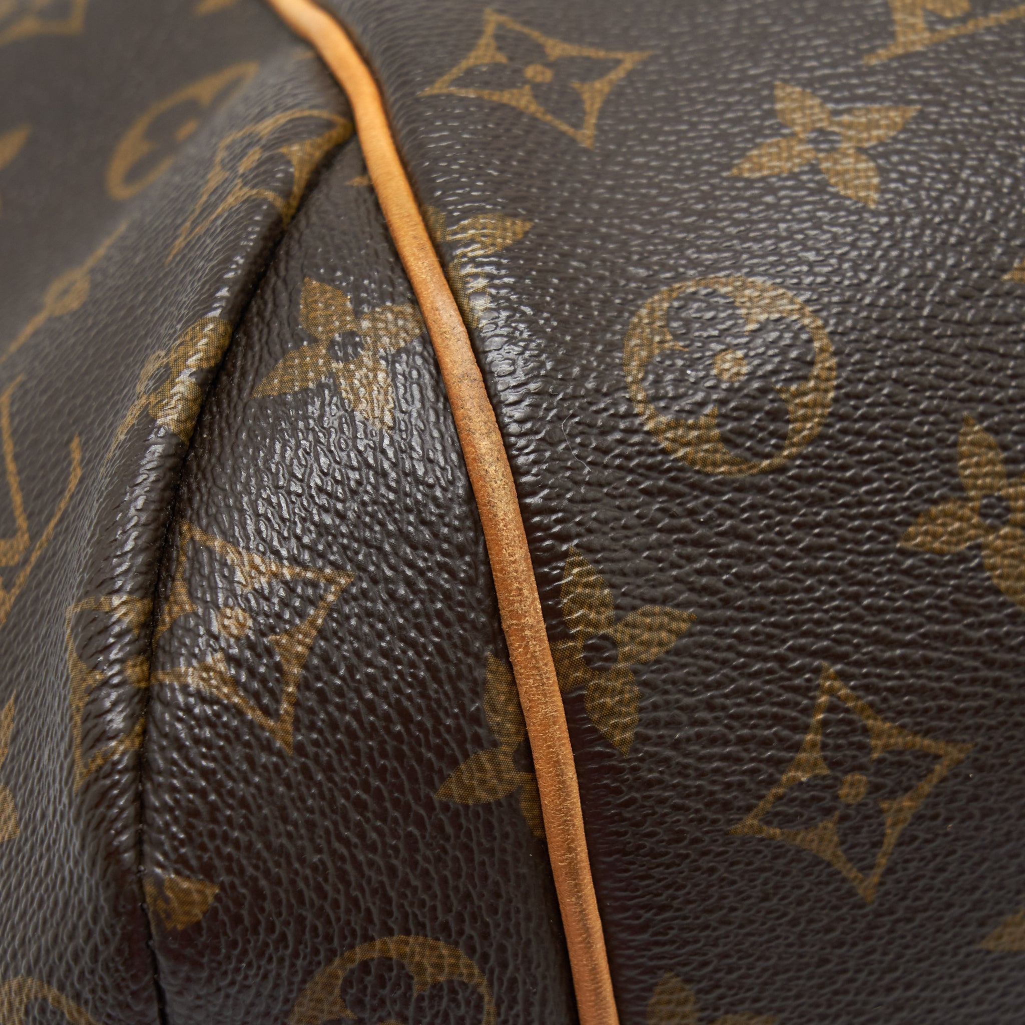 LOUIS VUITTON TOTE BAG MONOGRAM CANVAS GHW