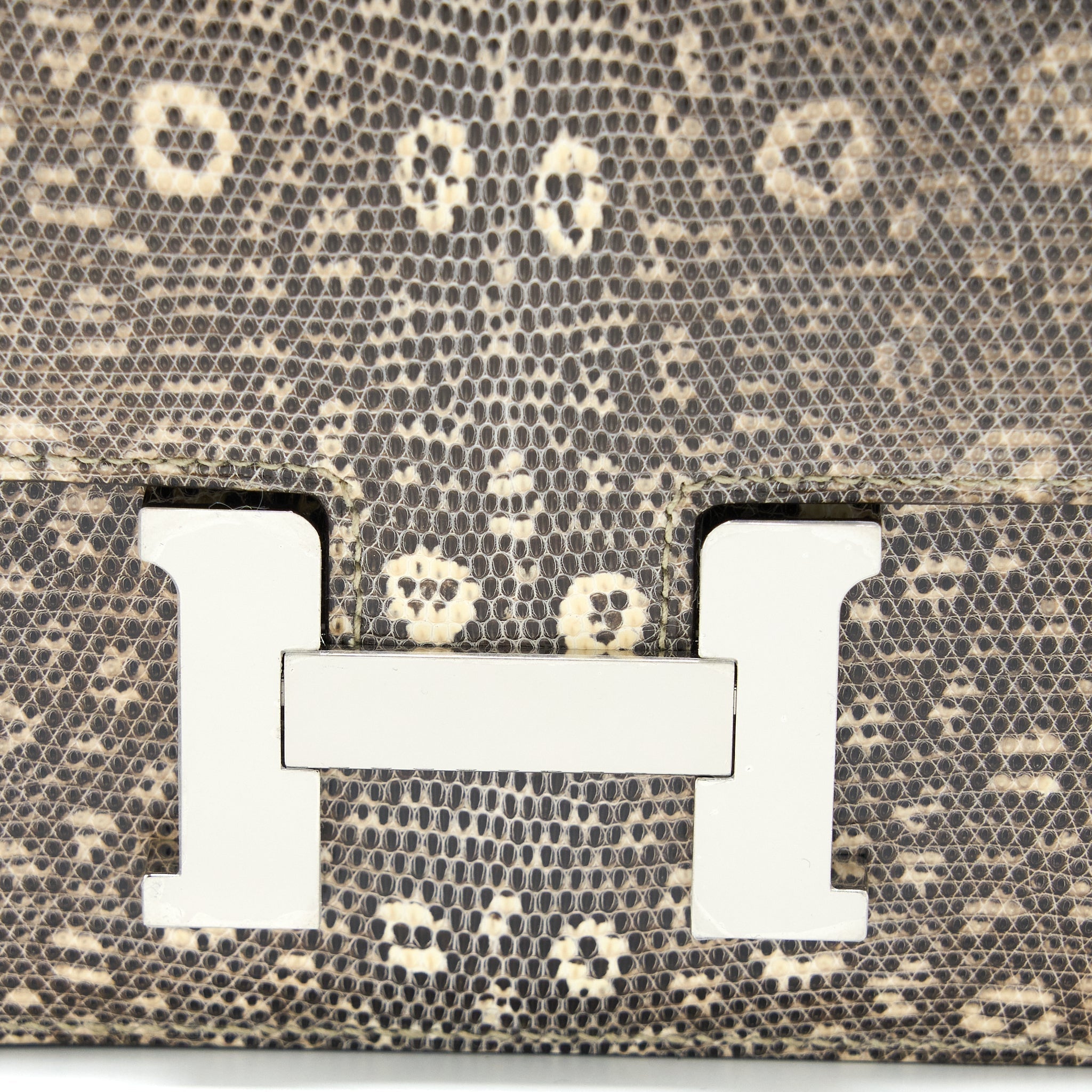 HERMES MINI CONSTANCE LIZARD OMBRÉ SHW