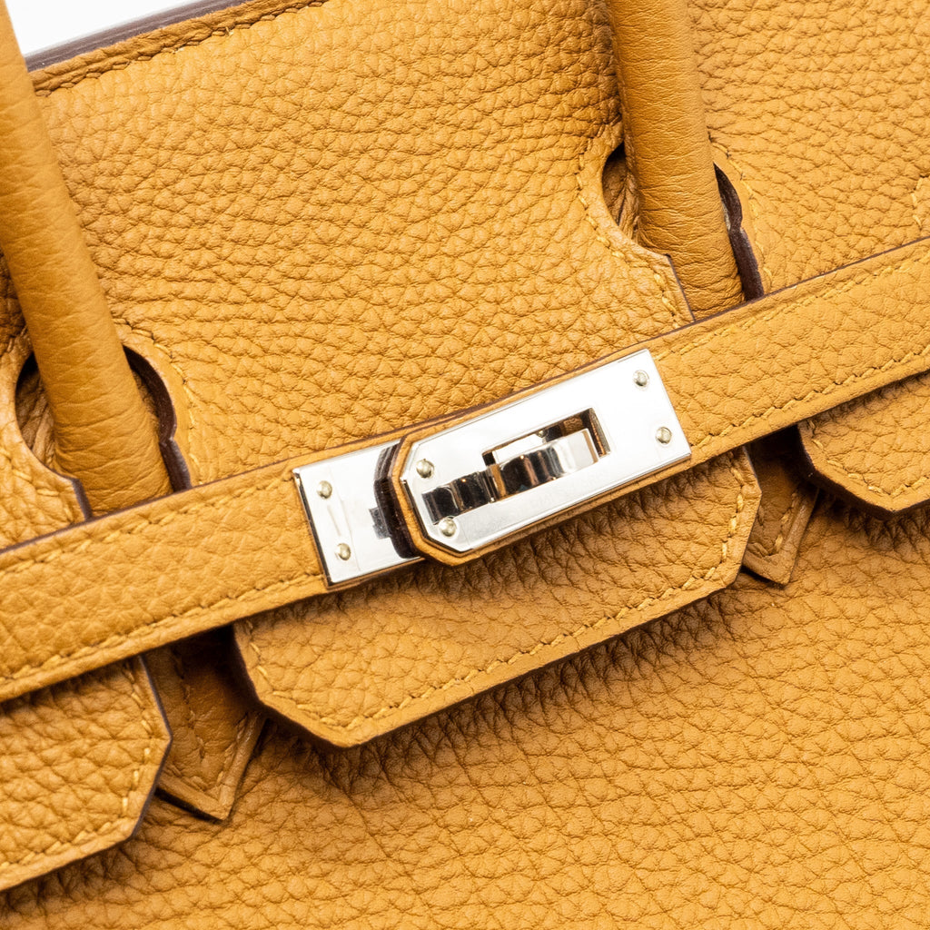 HERMES BIRKIN 25 TOGO CARAMEL/LIME SHW