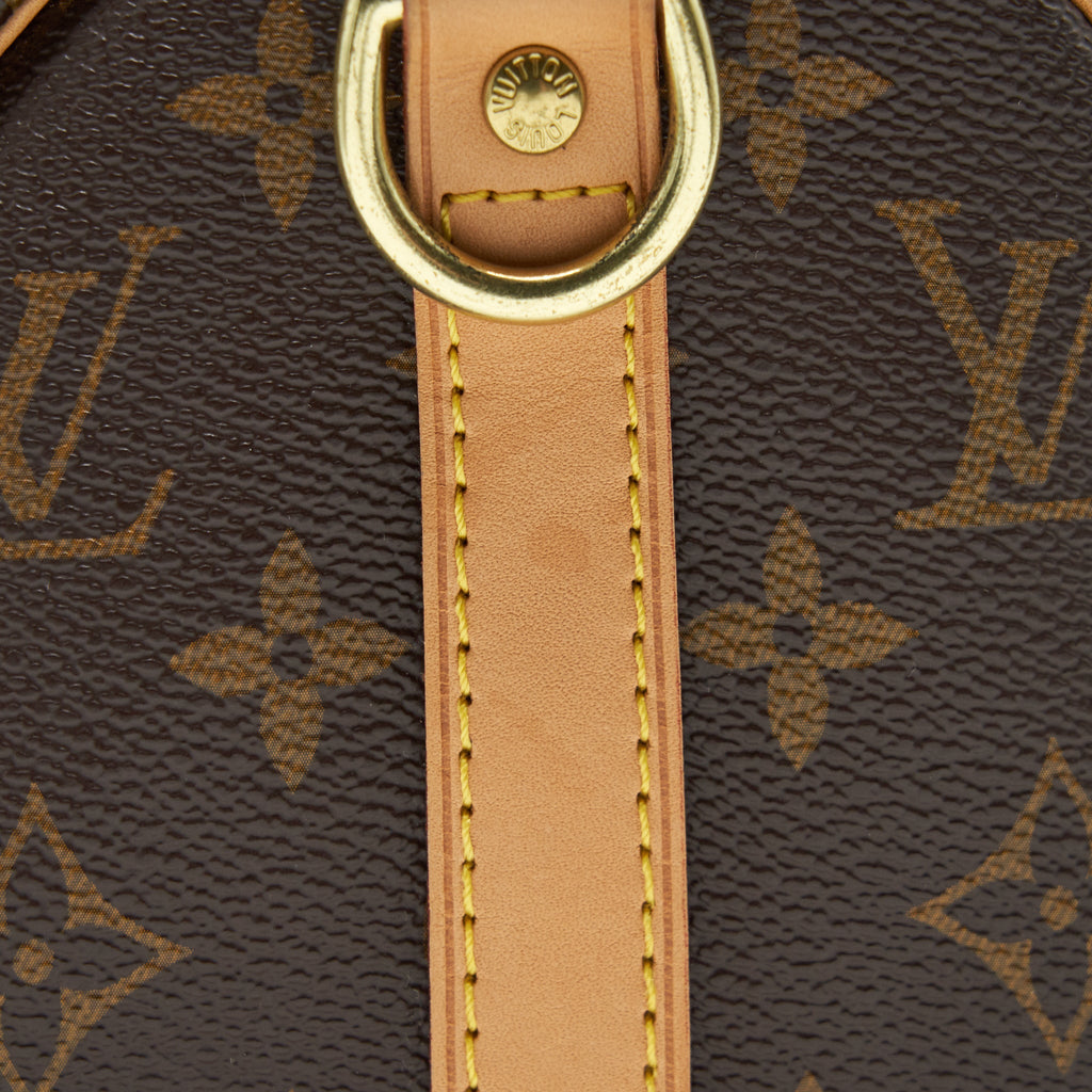LOUIS VUITTON SPEEDY BANDOULIERE 25 MONOGRAM CANVAS