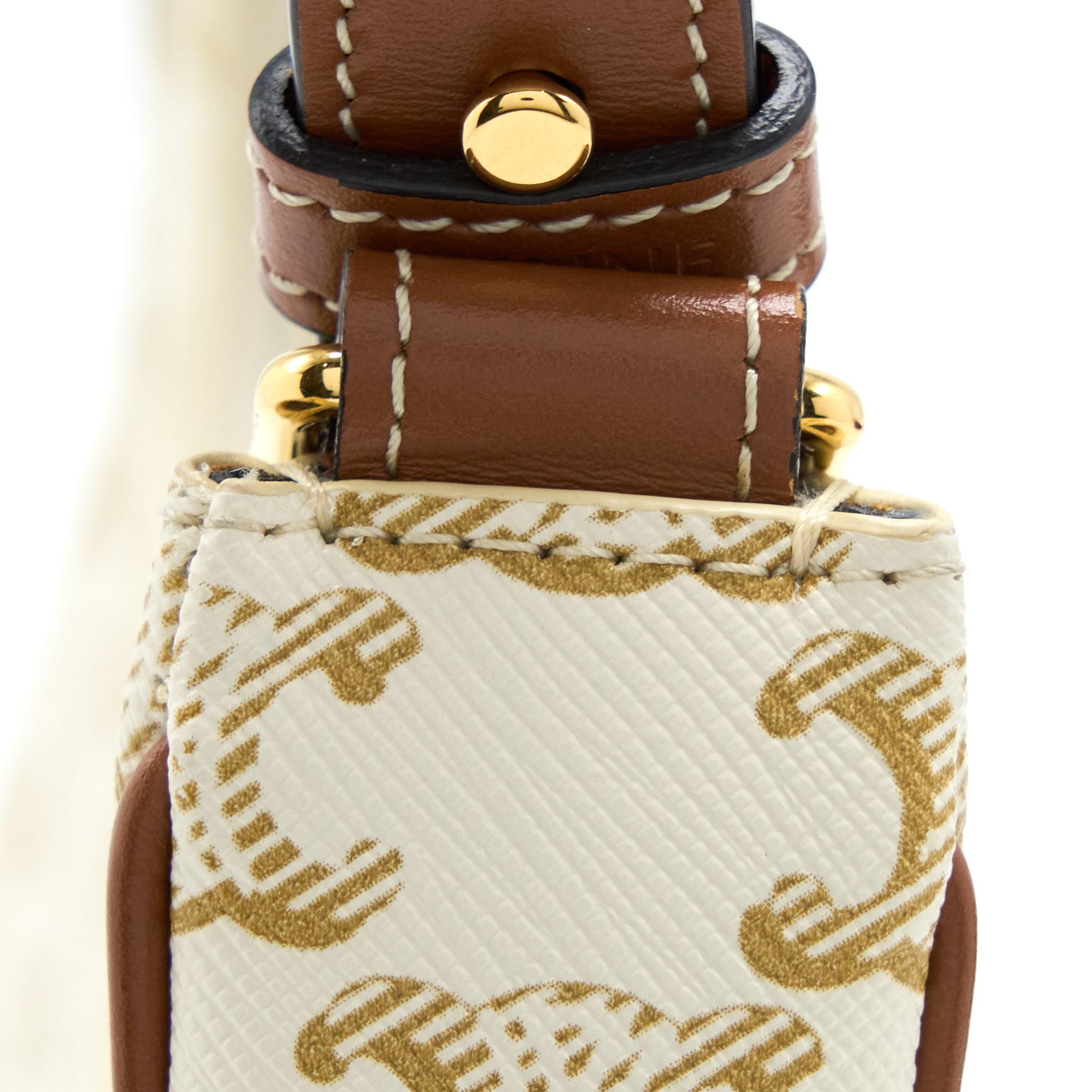 CELINE AVA BAG IN TRIOMPHE CANVAS AND CALFSKIN WHITE