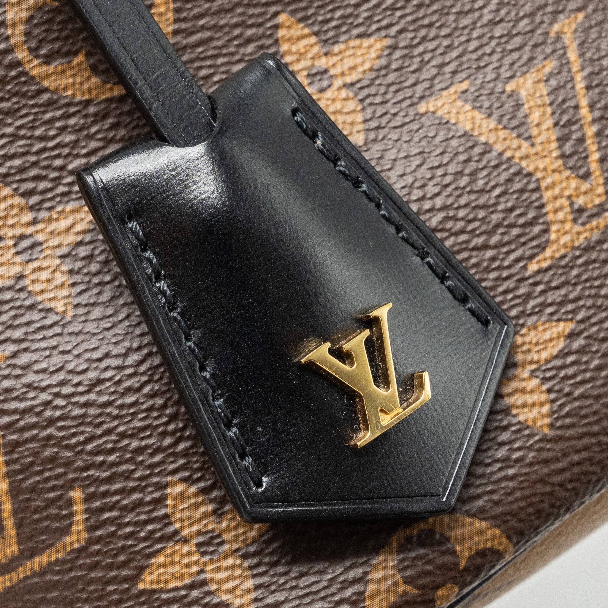LOUIS VUITTON VANITY MONOGRAM CANVAS GHW