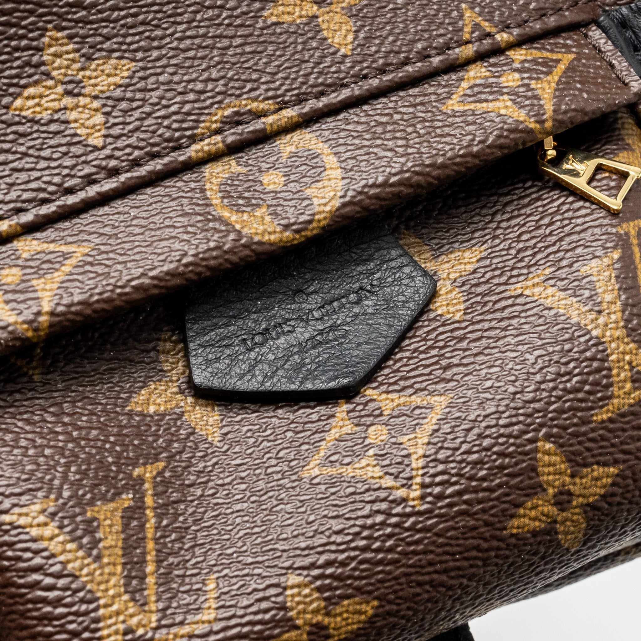 LOUIS VUITTON MINI PALM SPRING BACKPACK MONOGRAM CANVAS GHW