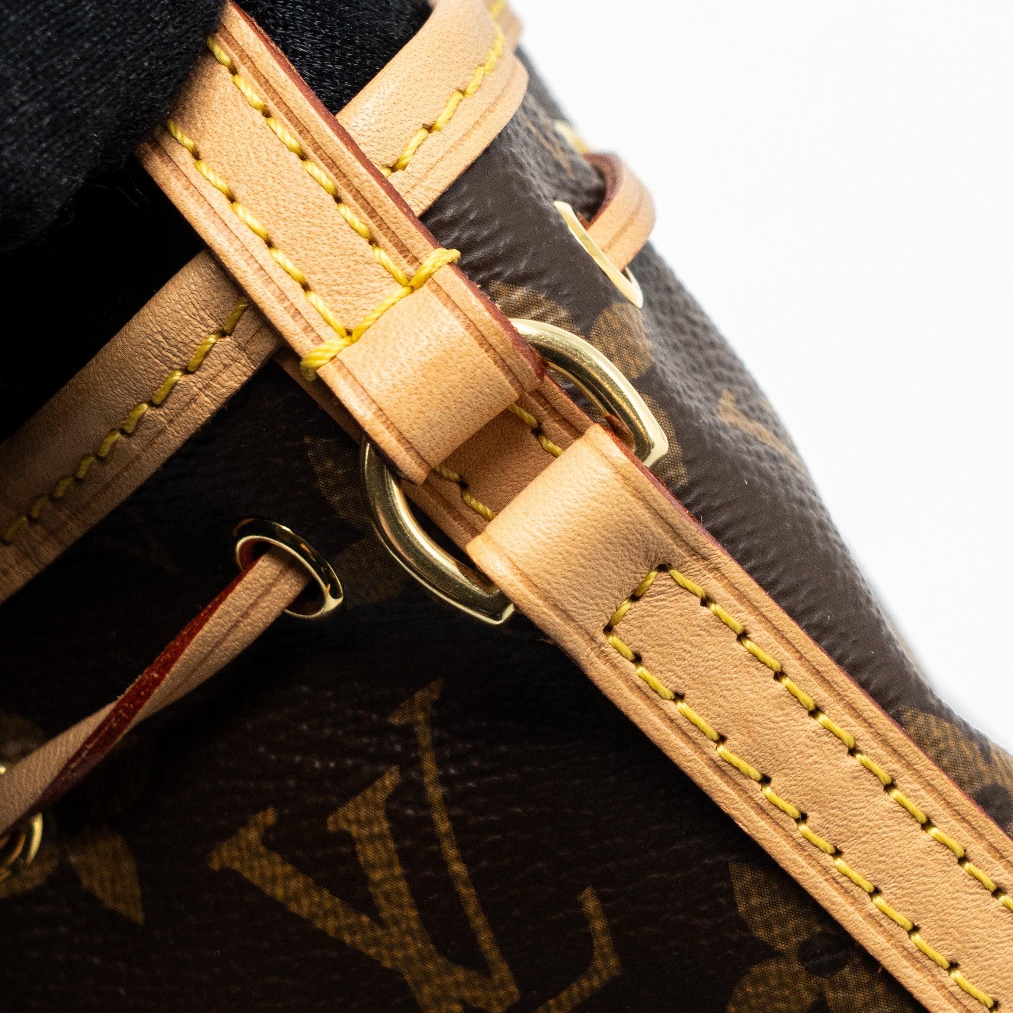 LOUIS VUITTON NANO NOE MONOGRAM CANVAS GHW