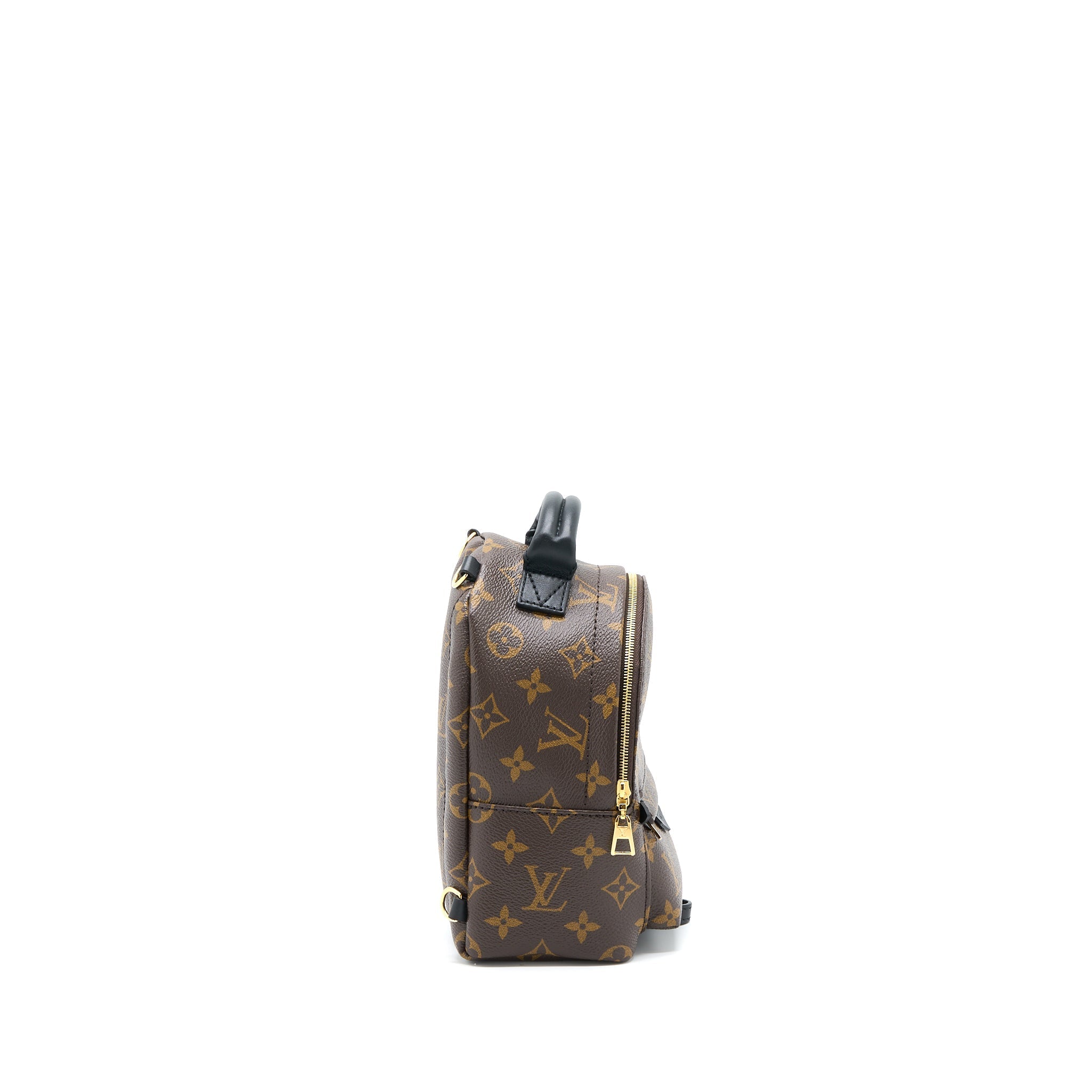 LOUIS VUITTON PALM SPRING MINI BACKPACK MONOGRAM CANVAS GHW