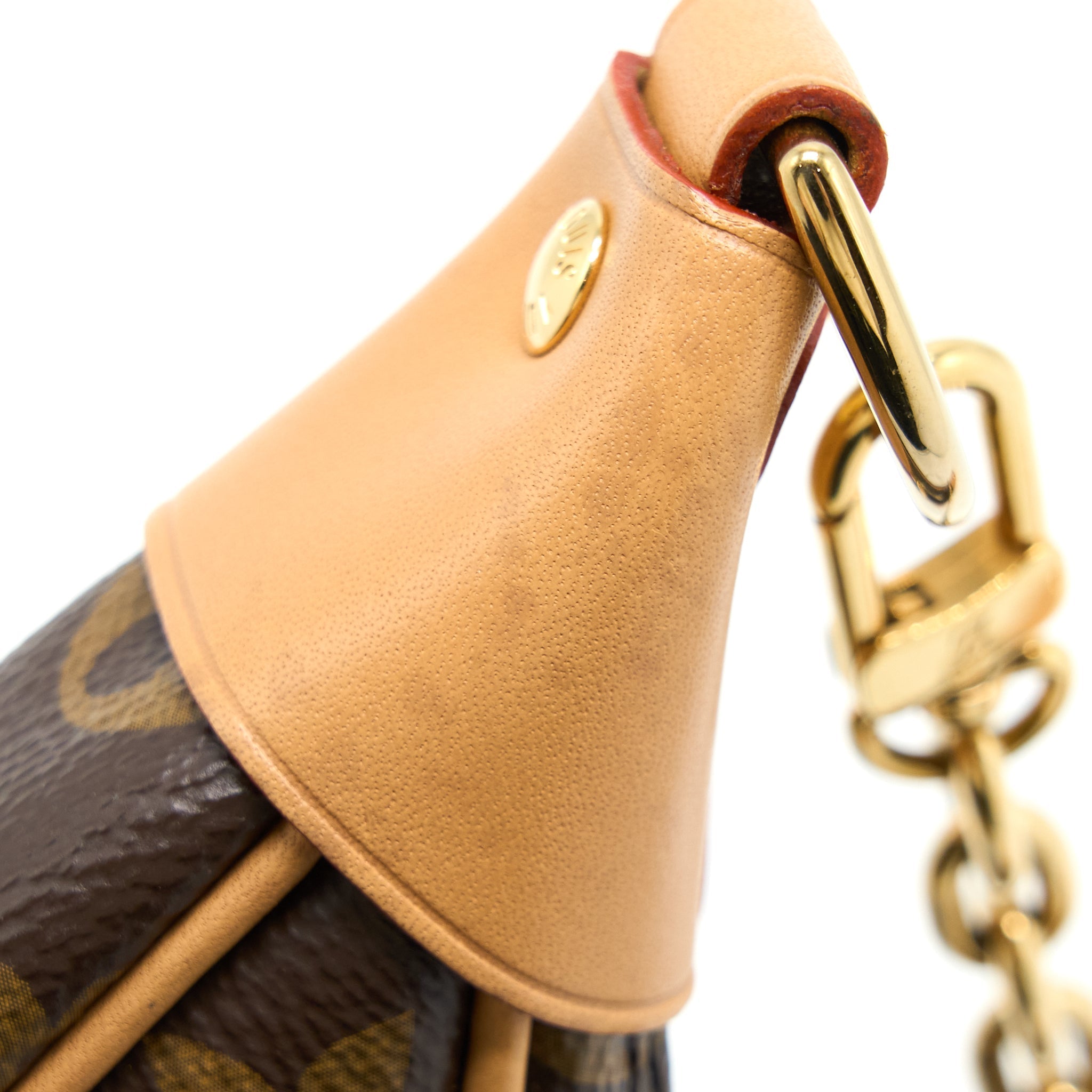 LOUIS VUITTON LOOP BAG MONOGRAM CANVAS GHW (NEW VERSION)
