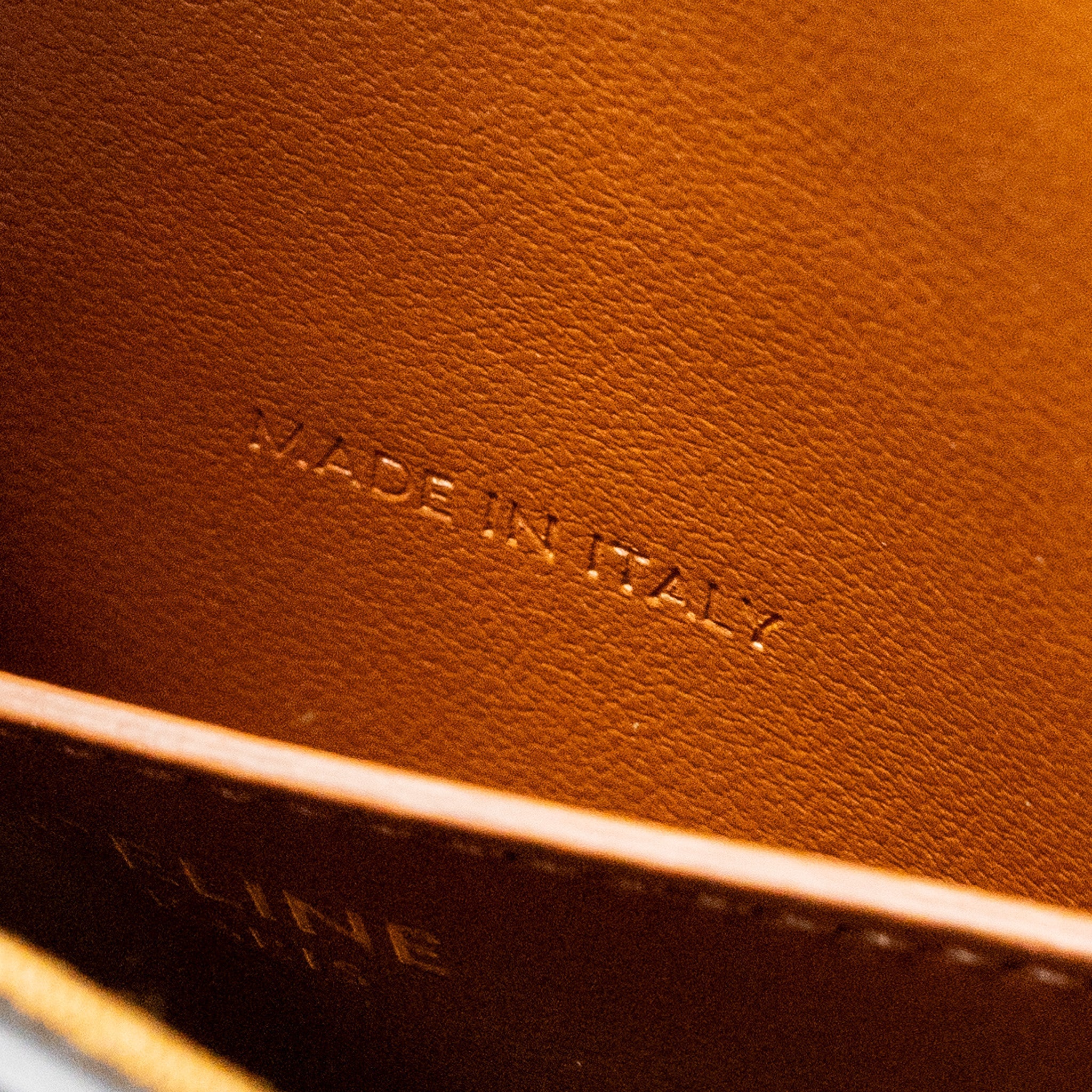 CELINE CLUTCH ON STRAP TABOU IN TRIOMPHE CANVAS / CALFSKIN TAN GHW