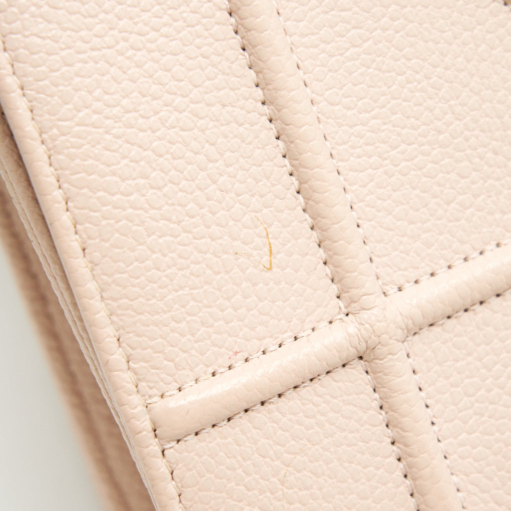 DIOR MEDIUM DIORAMA BAG GRAINED CALFSKIN LIGHT PINK SHW