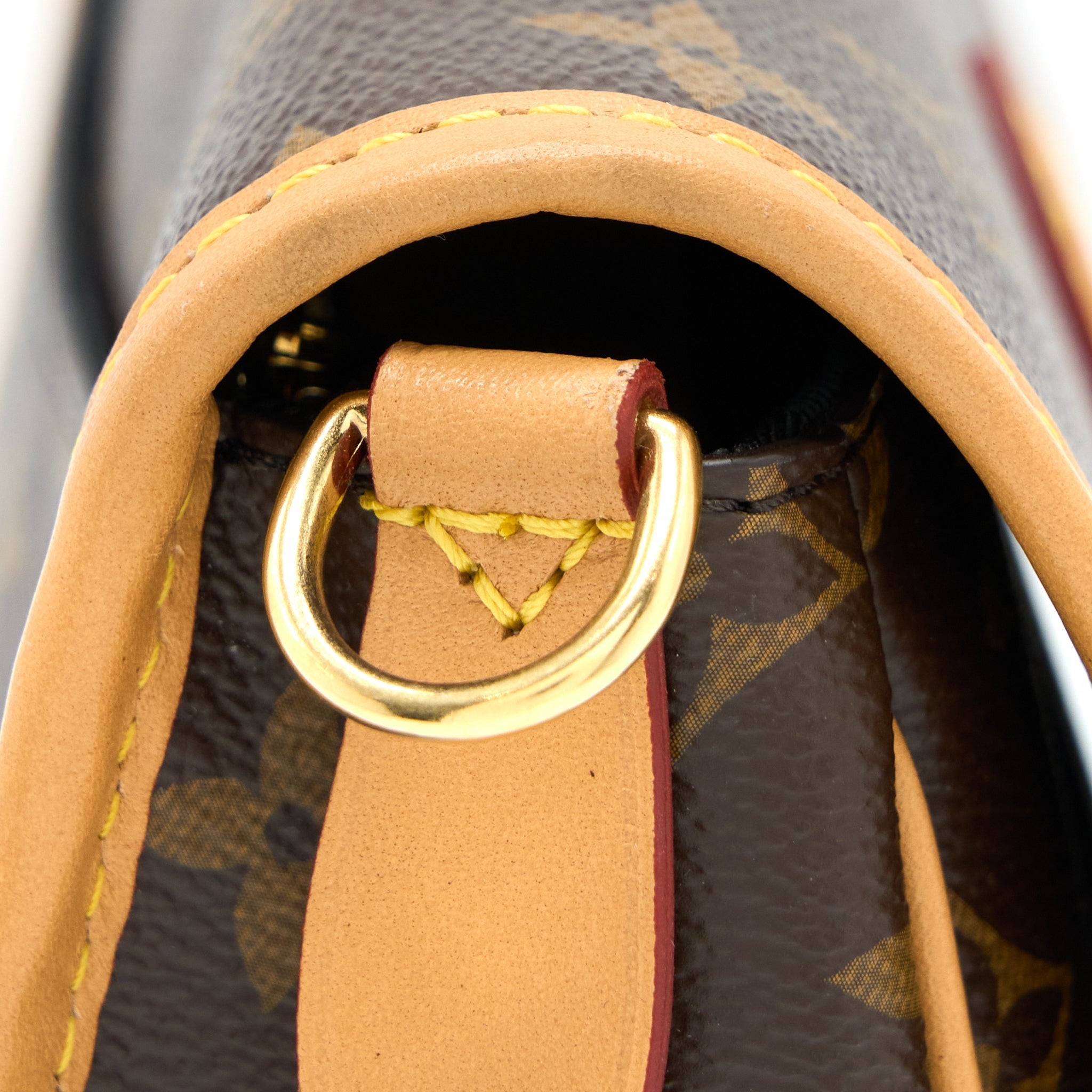 LOUIS VUITTON DIANE BAG MONOGRAM CANVAS WITH JACQUARD STRAP GHW (NEW VERSION)
