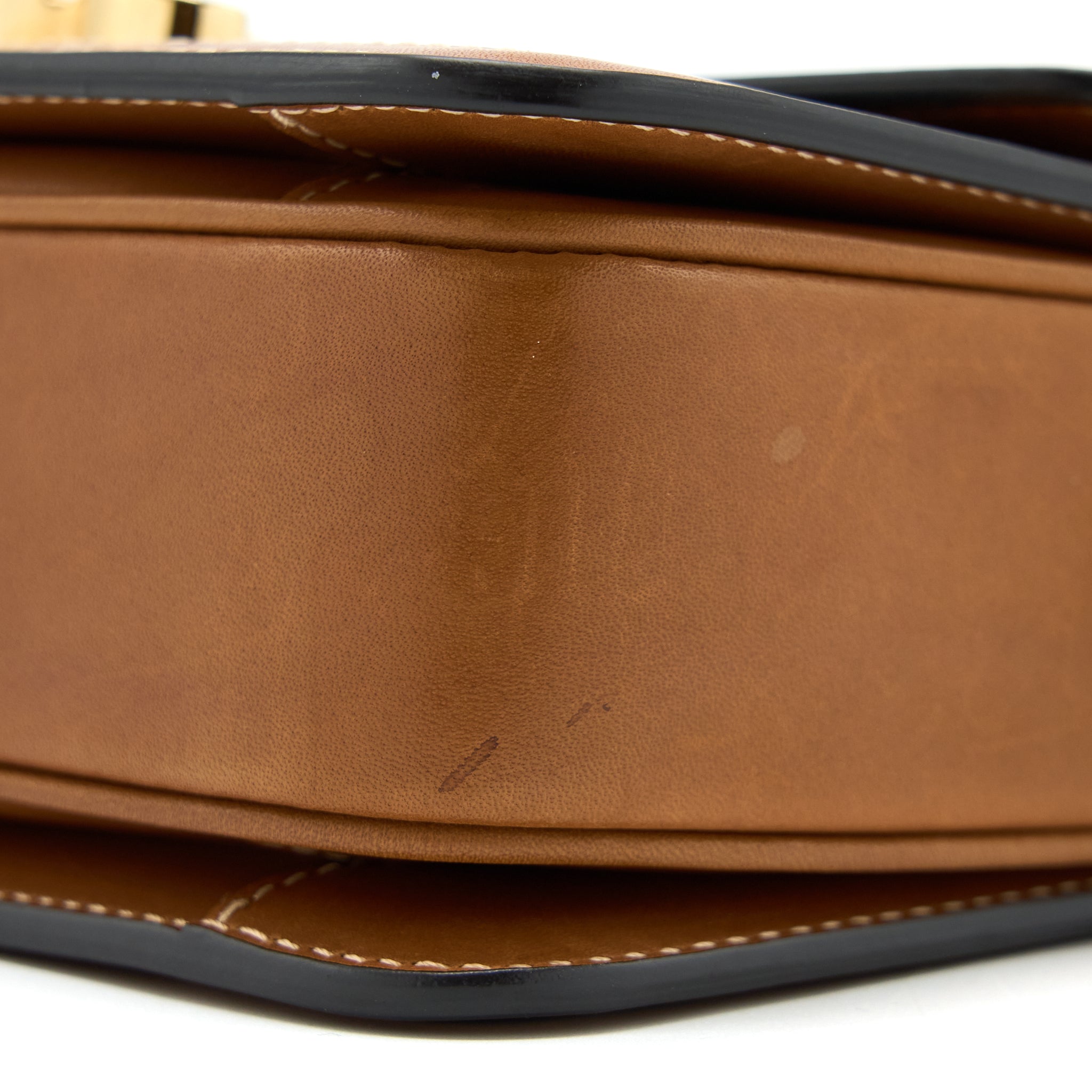 CELINE TEEN TRIOMPHE BAG IN TRIOMPHE CANVAS / NATURE CALFSKIN GHW