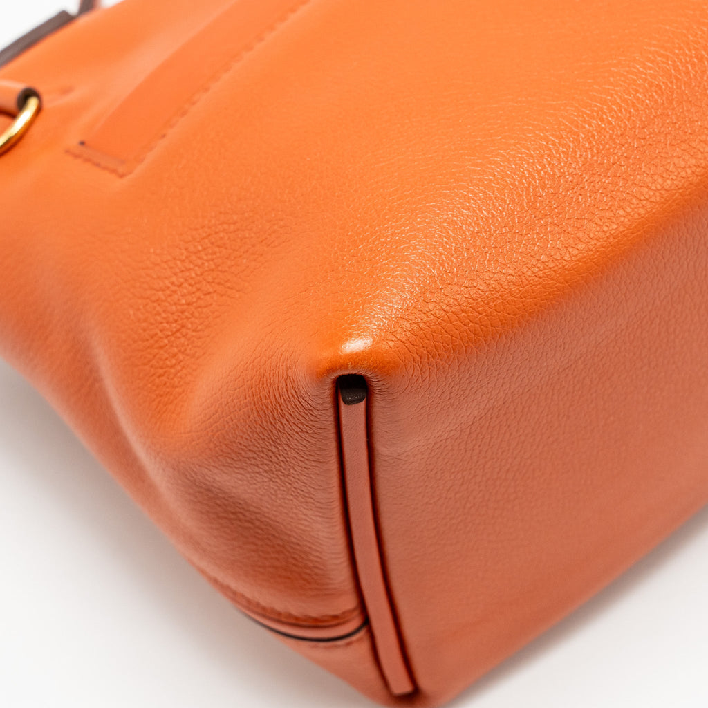 HERMES MINI 24/24 2424-21 BAG EVERCOLOR/ SWIFT TERRE/ CAPUCINE / ANEMONE GHW