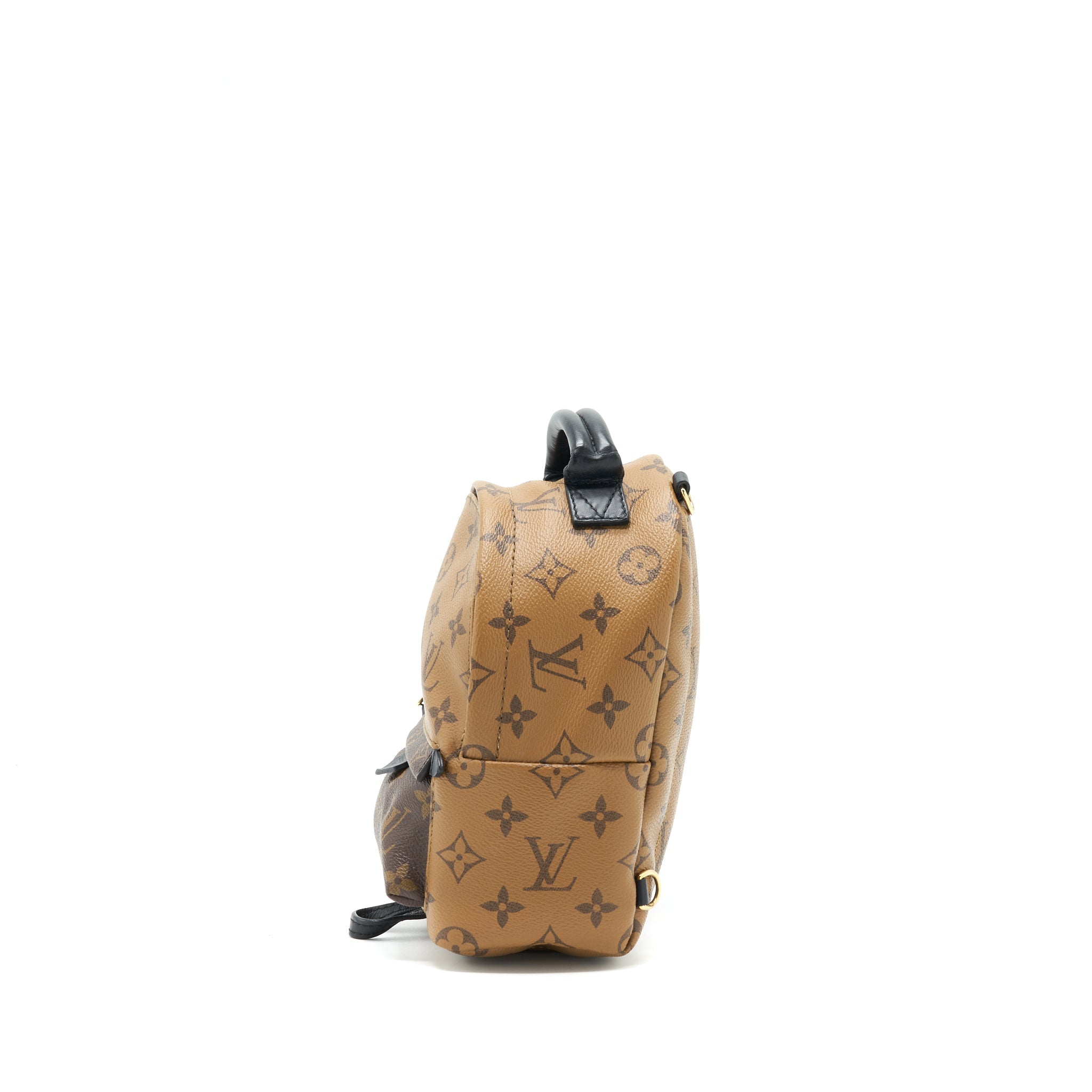 LOUIS VUITTON PALM SPRING MINI BACKPACK MONOGRAM CANVAS