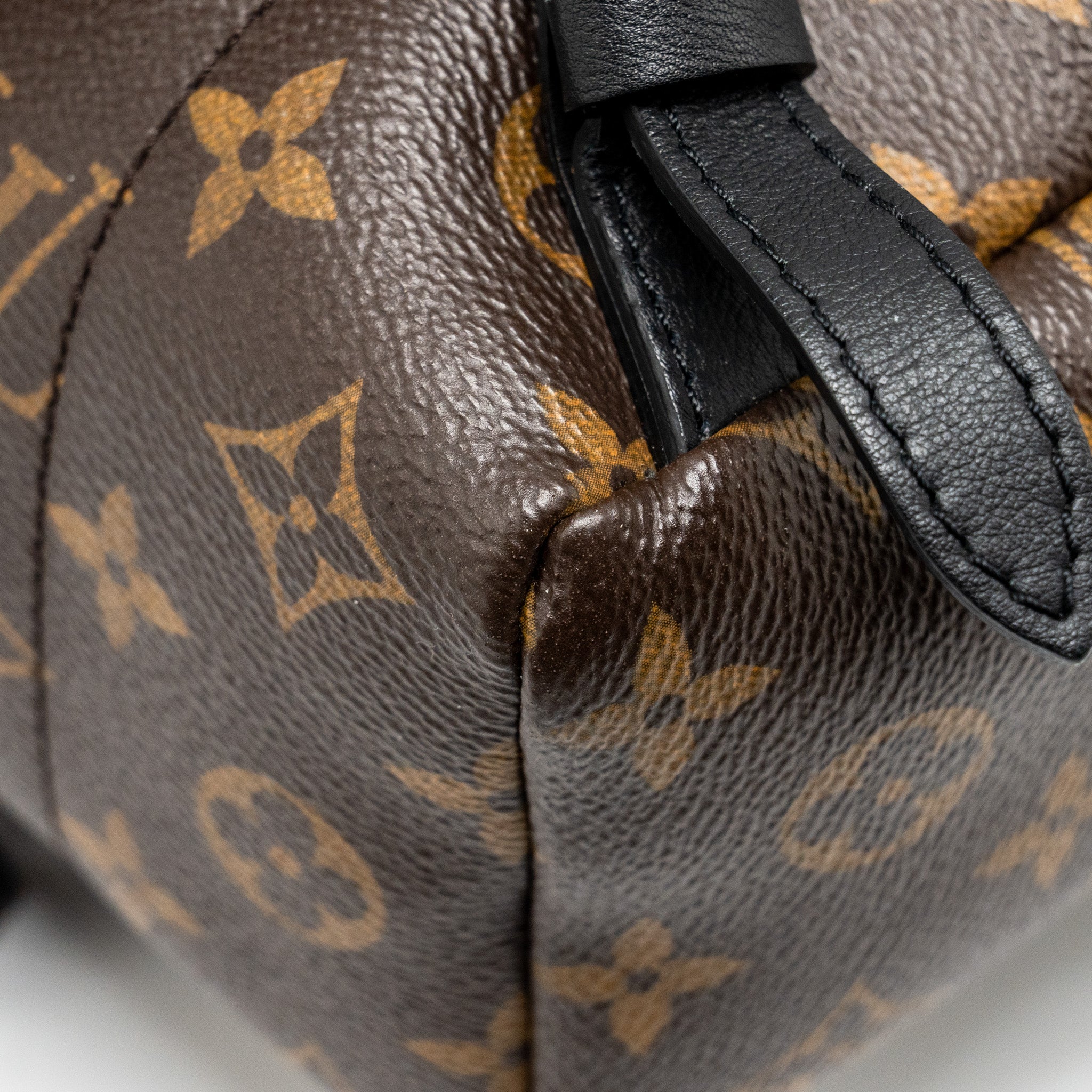 LOUIS VUITTON PALM SPRING PM BACKPACK MONOGRAM CANVAS GHW