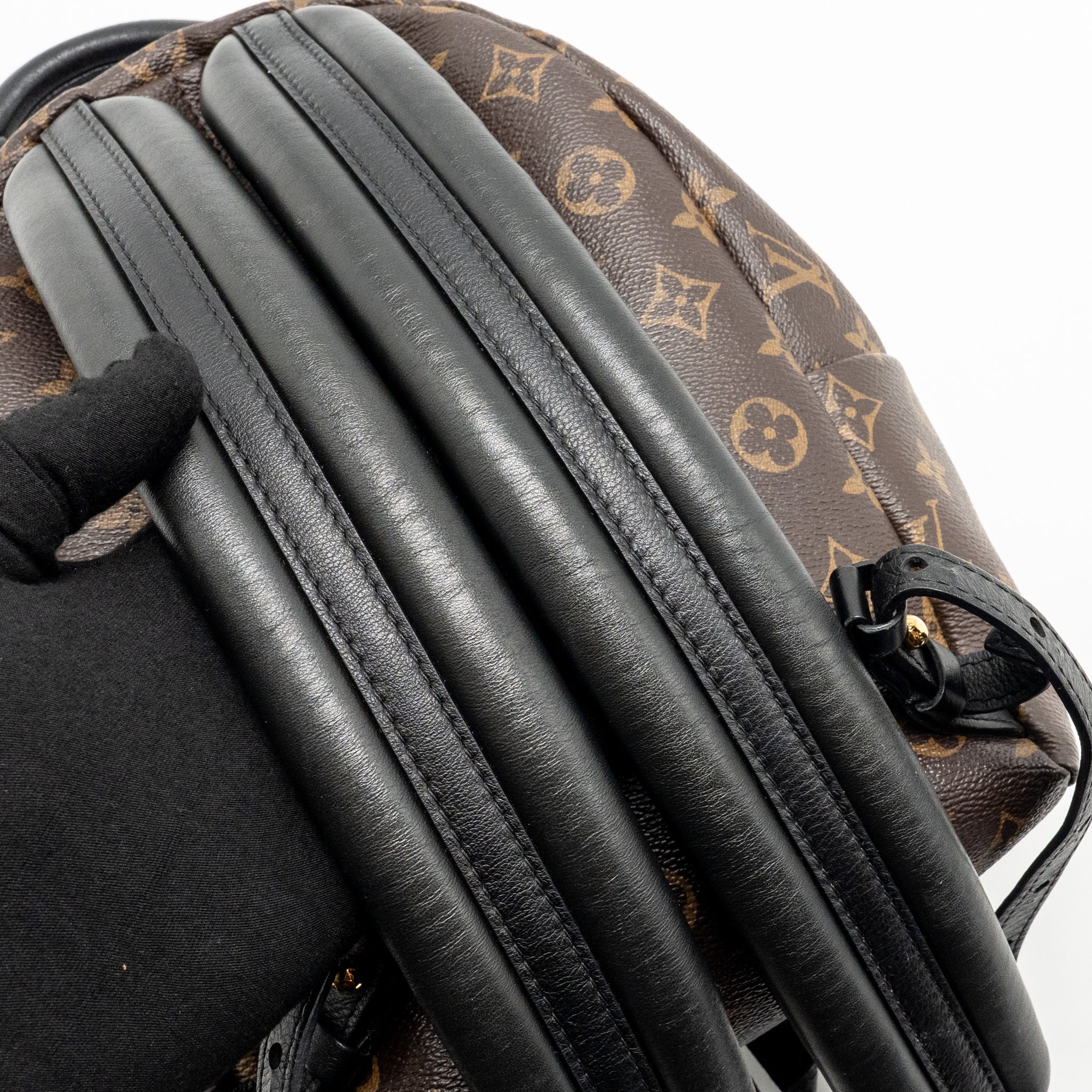 LOUIS VUITTON PALM SPRING PM BACKPACK MONOGRAM CANVAS GHW