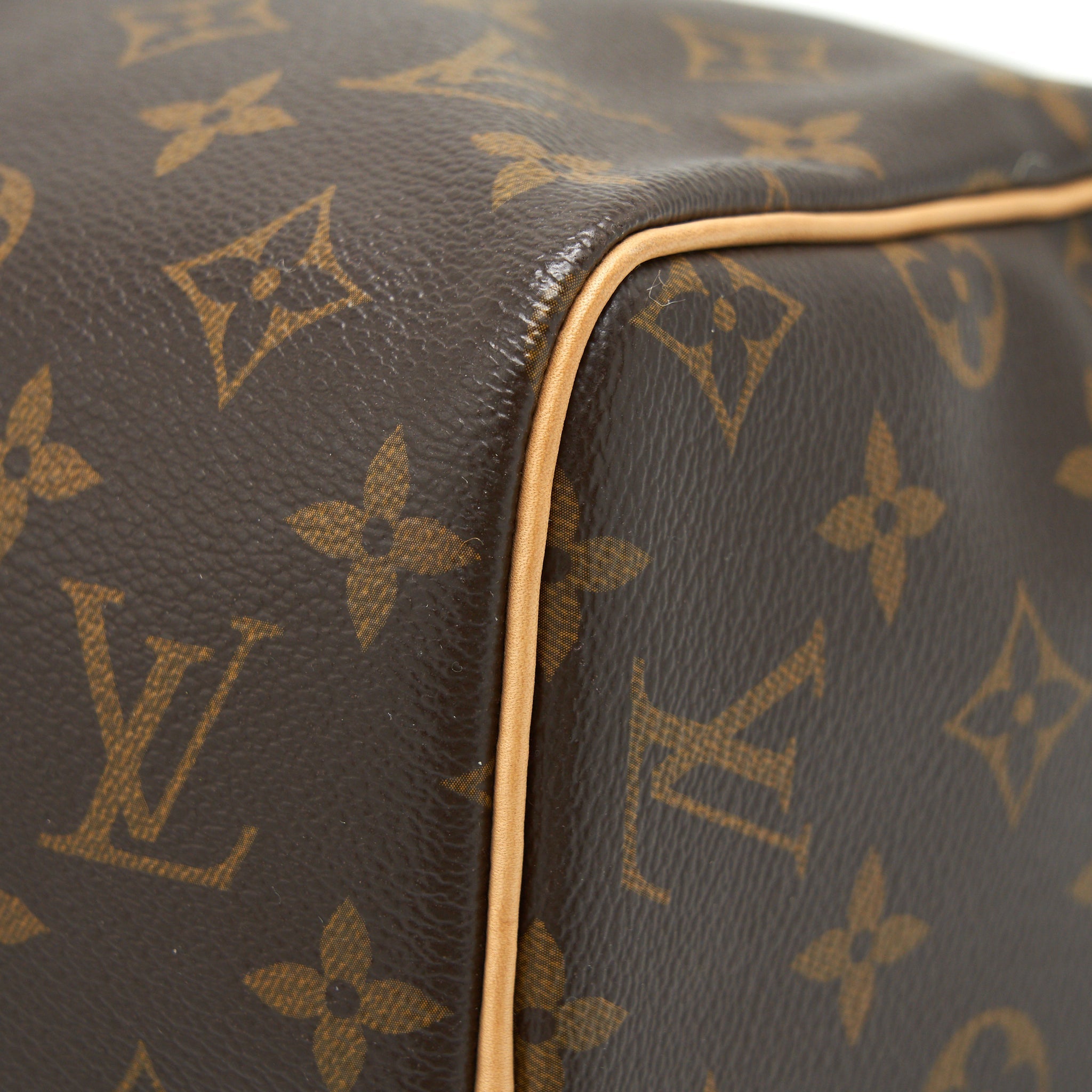 LOUIS VUITTON SPEEDY 30 MONOGRAM