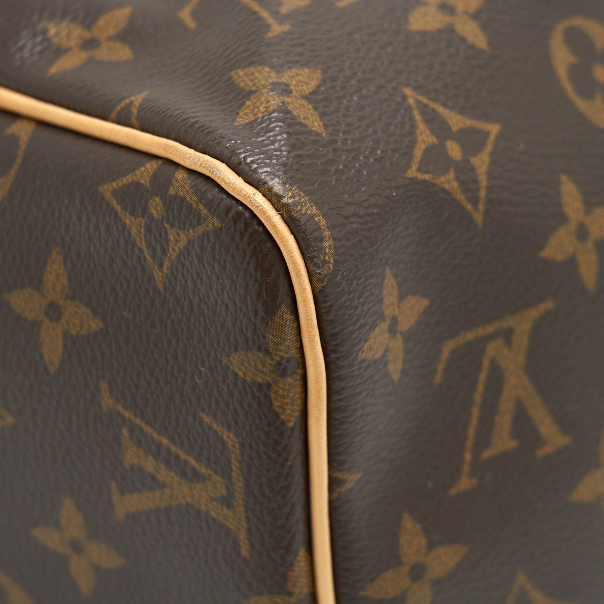 LOUIS VUITTON SPEEDY 30 MONOGRAM