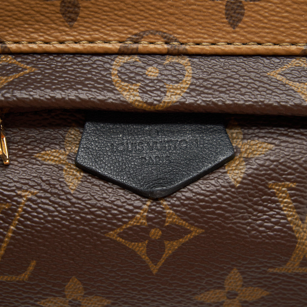 LOUIS VUITTON PALM SPRING MINI BACKPACK MONOGRAM CANVAS