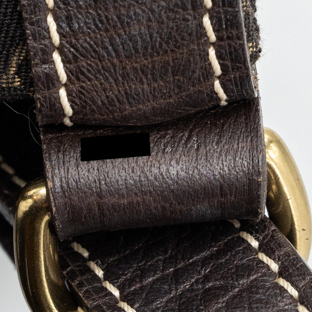 LOUIS VUITTON LIN NOE BAG FABRIC / LEATHER EBENE GHW