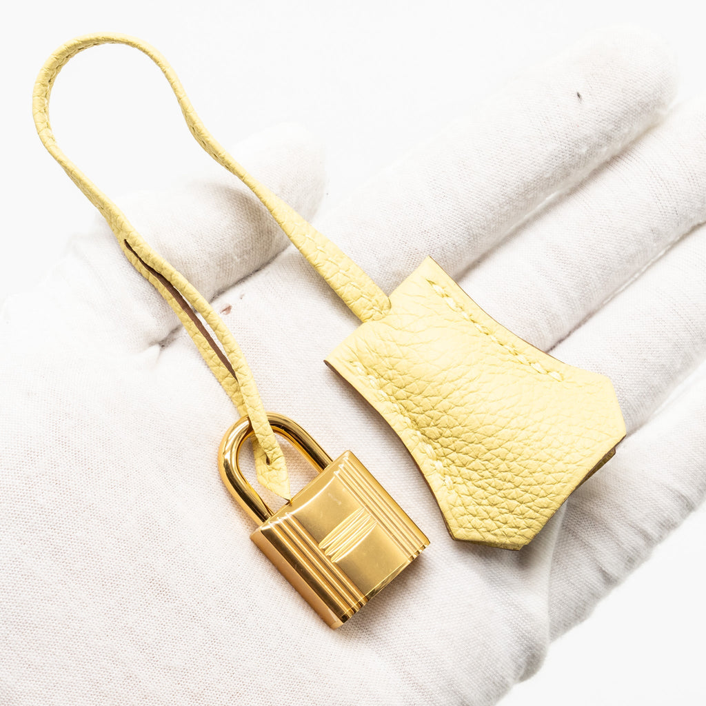 HERMES BIRKIN 25 TOGO 1Z JAUNE POUSSIN GHW