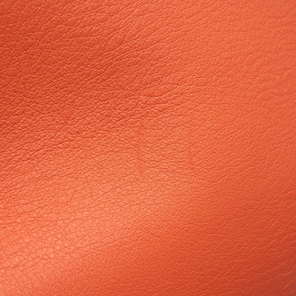 LOEWE ANTON SLING IN SOFT GRAINED CALFSKIN IN PUMPKIN