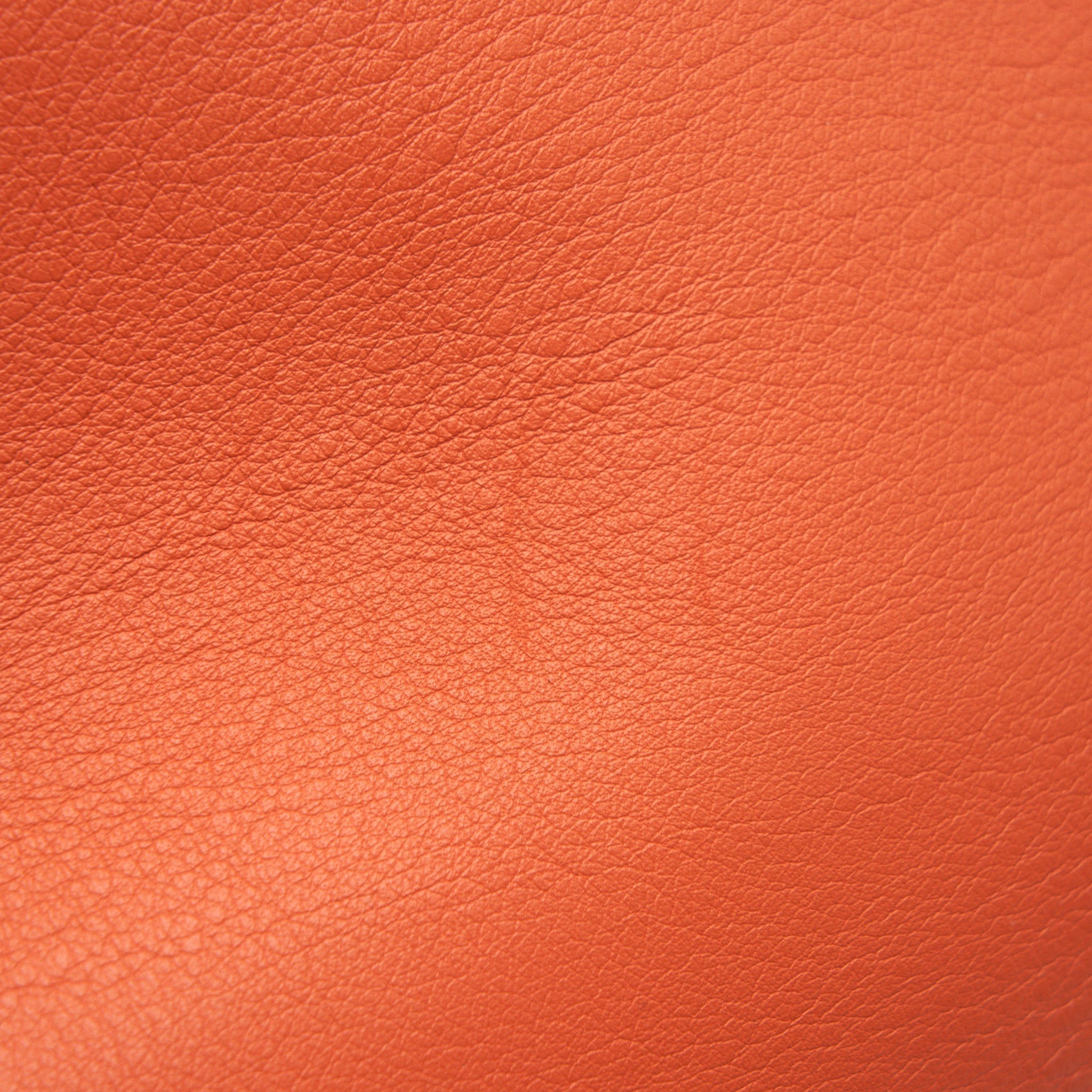 LOEWE ANTON SLING IN SOFT GRAINED CALFSKIN IN PUMPKIN
