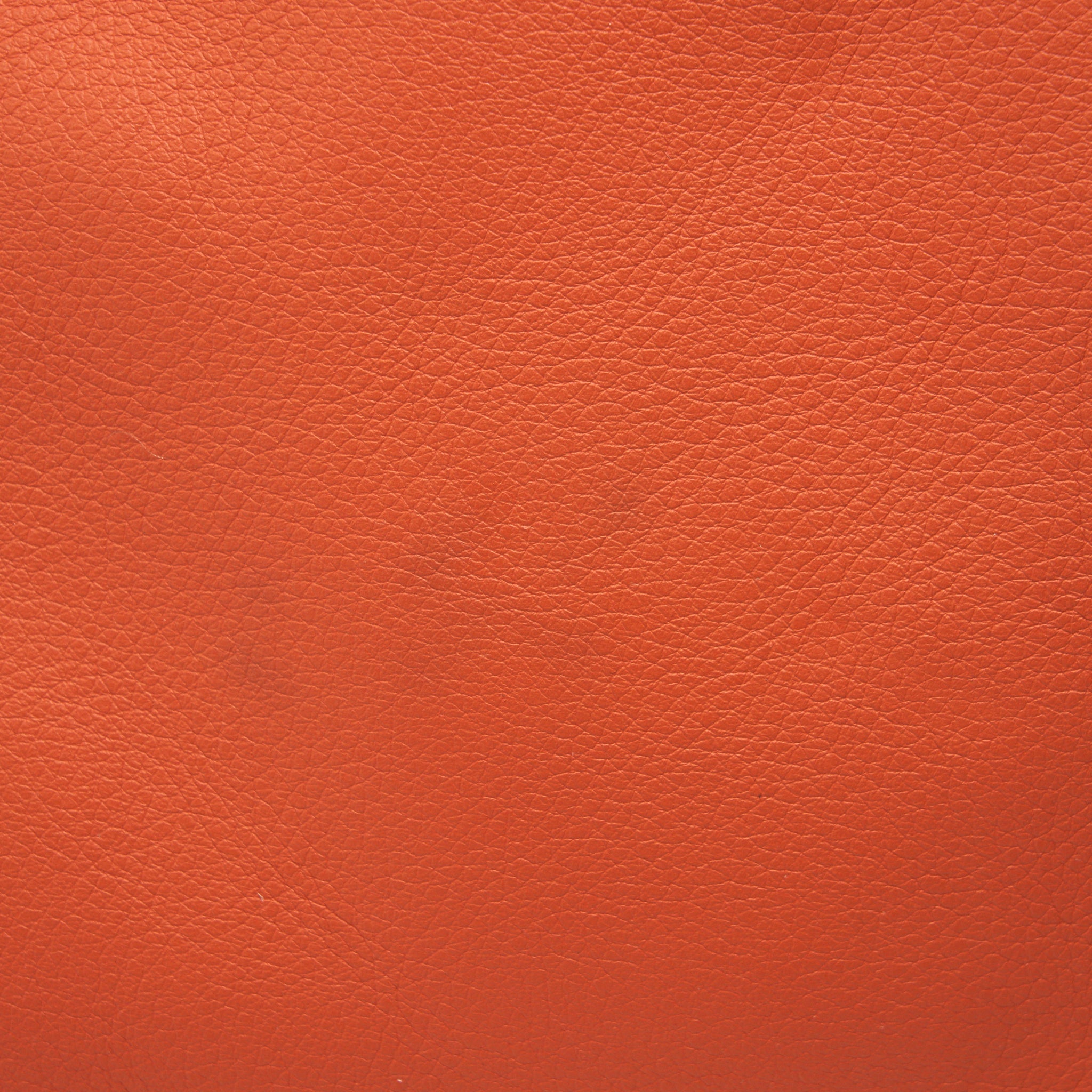 LOEWE ANTON SLING IN SOFT GRAINED CALFSKIN IN PUMPKIN