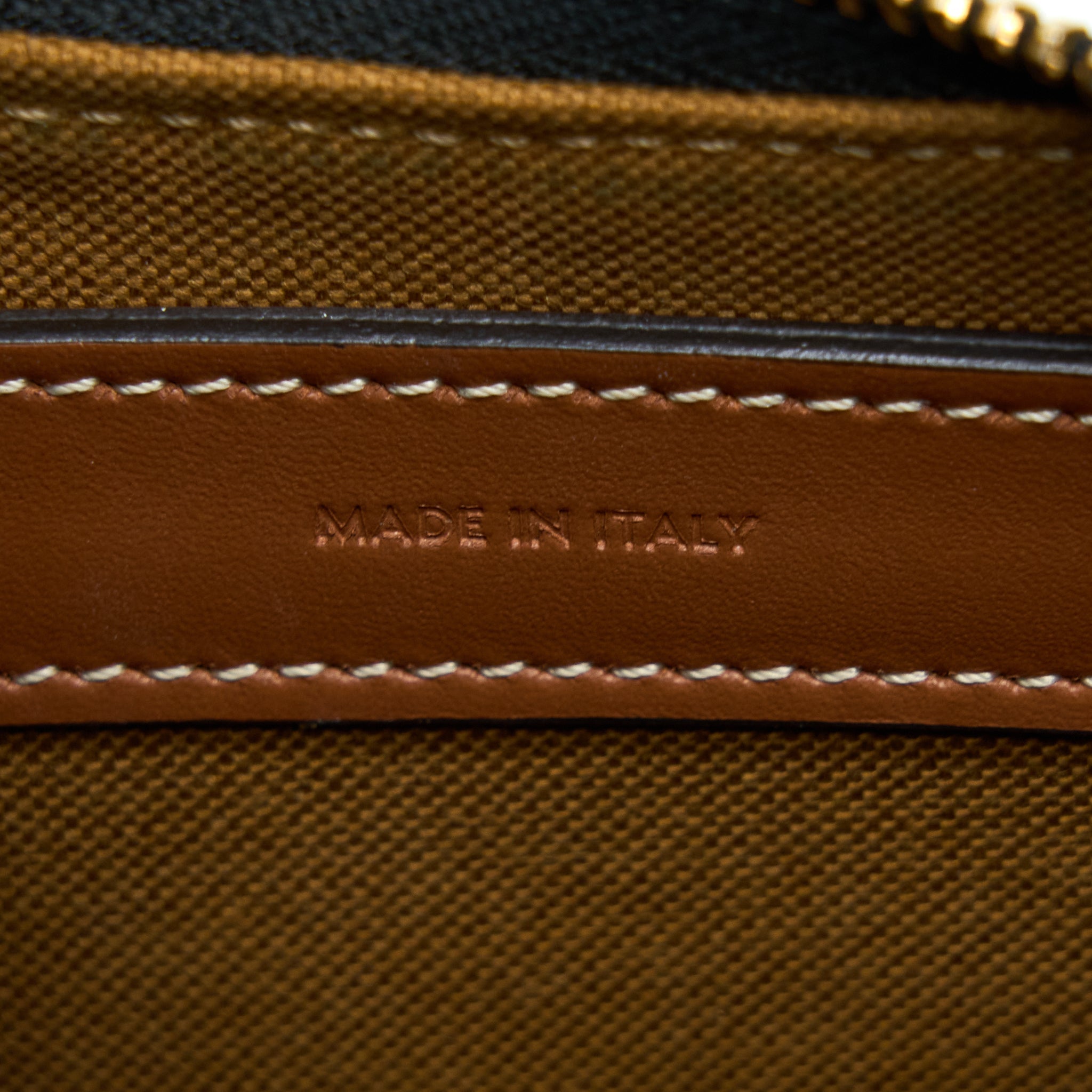 CELINE AVA BAG IN TRIOMPHE CANVAS AND CALFSKIN TAN
