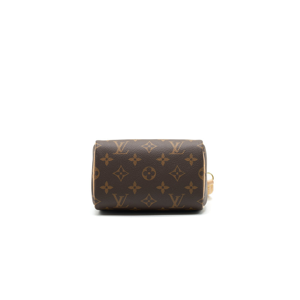 LOUIS VUITTON NANO SPEEDY TY