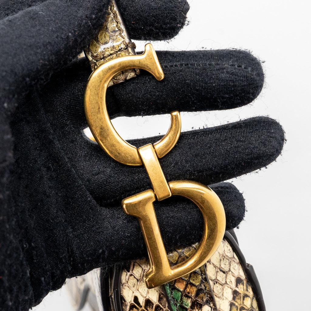 DIOR MINI SADDLE BAG PYTHON MULTICOLOUR GHW