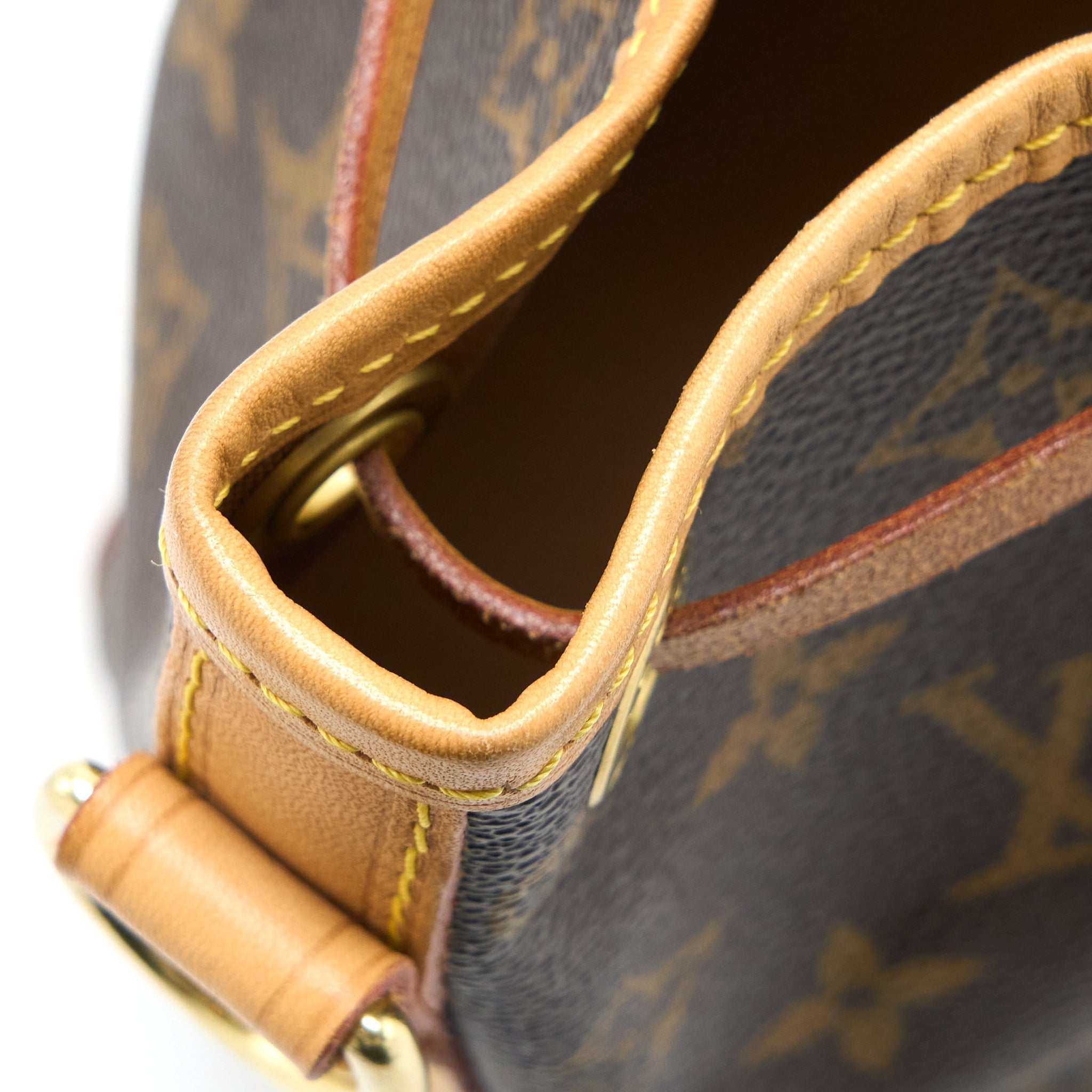 LOUIS VUITTON NEO NOE BB MONOGRAM CANVAS GHW