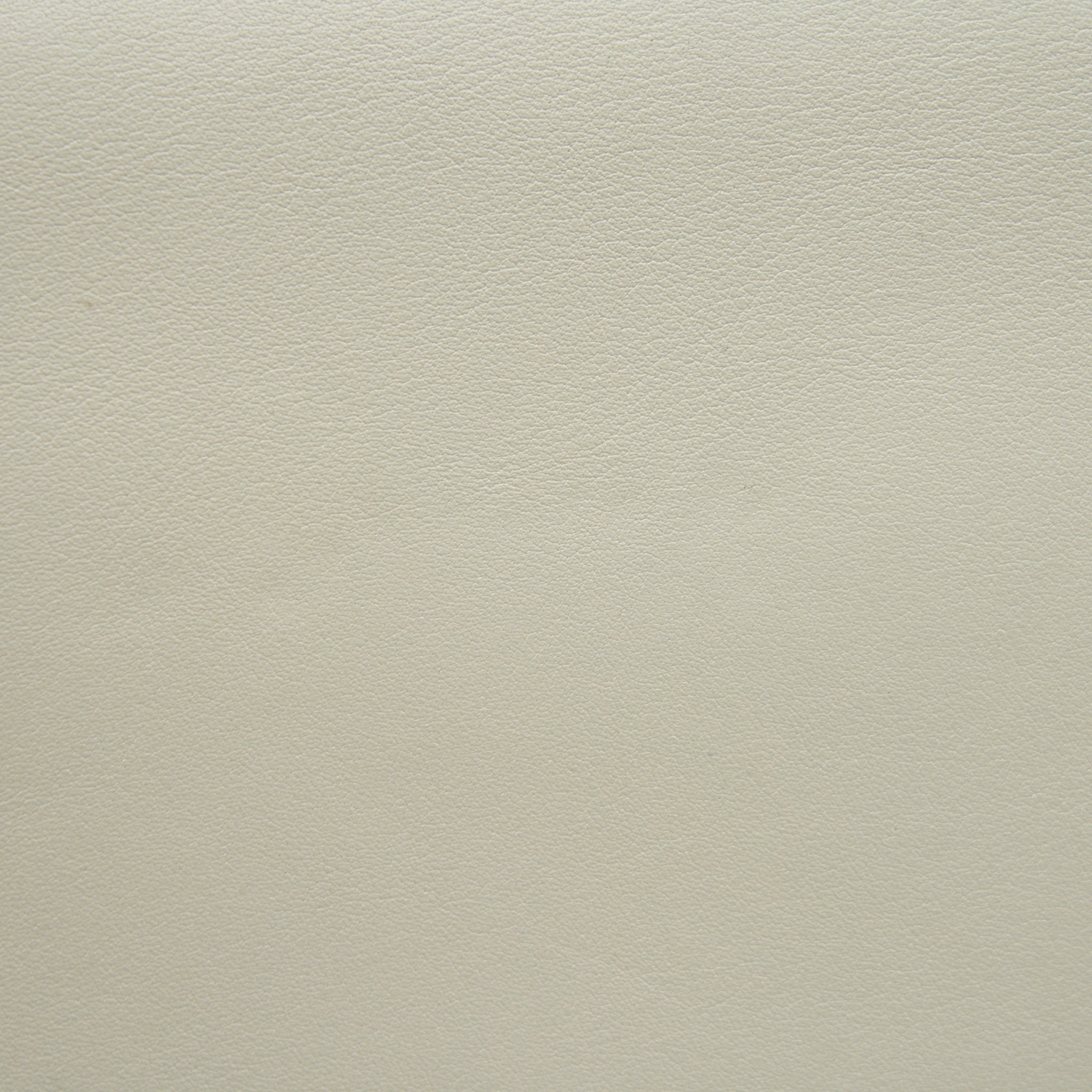 DIOR MEDIUM DIOR EVOLUTION BAG WHITE WITH SHW