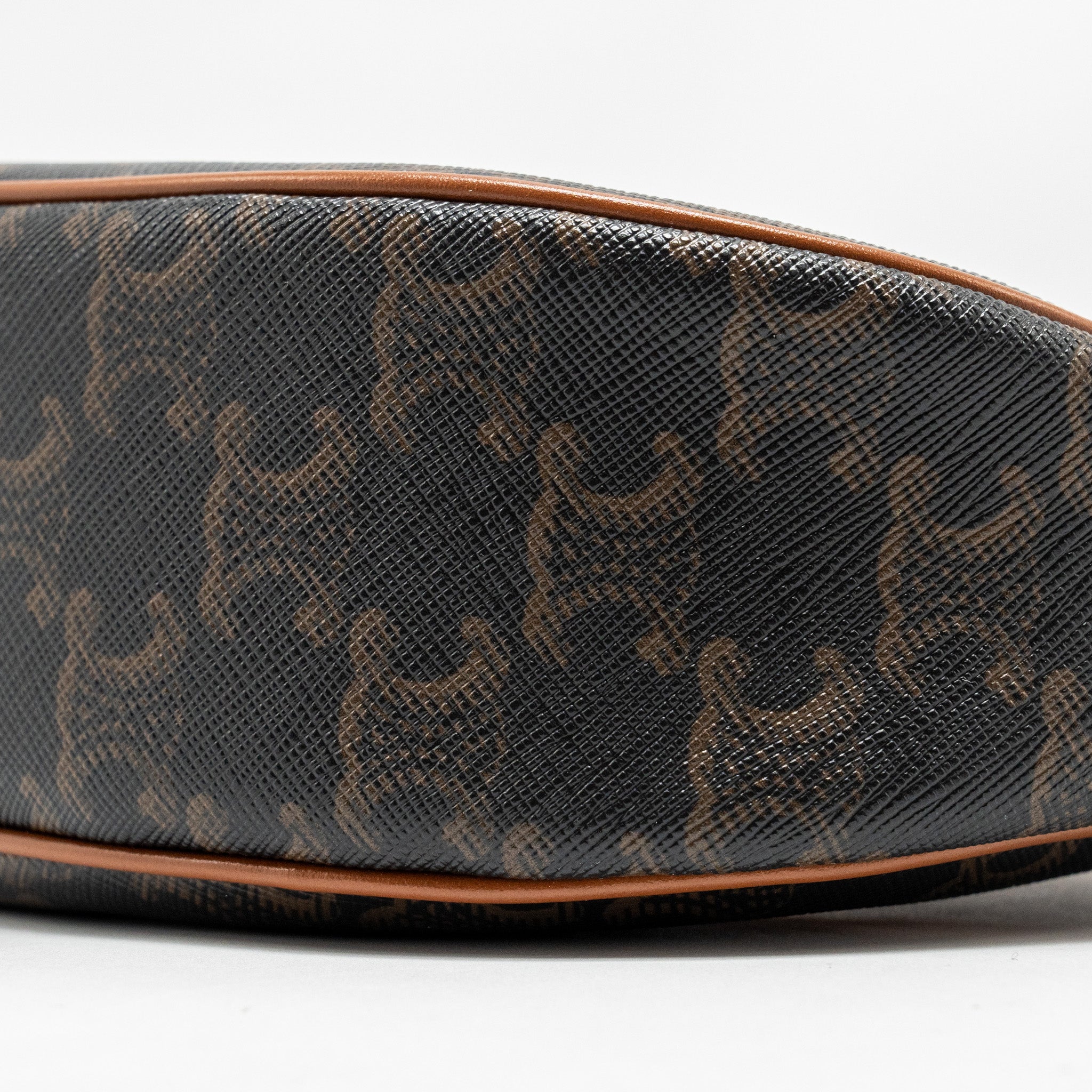 CELINE AVA BAG TRIOMPHE CANVAS / CALFSKIN BROWN GHW