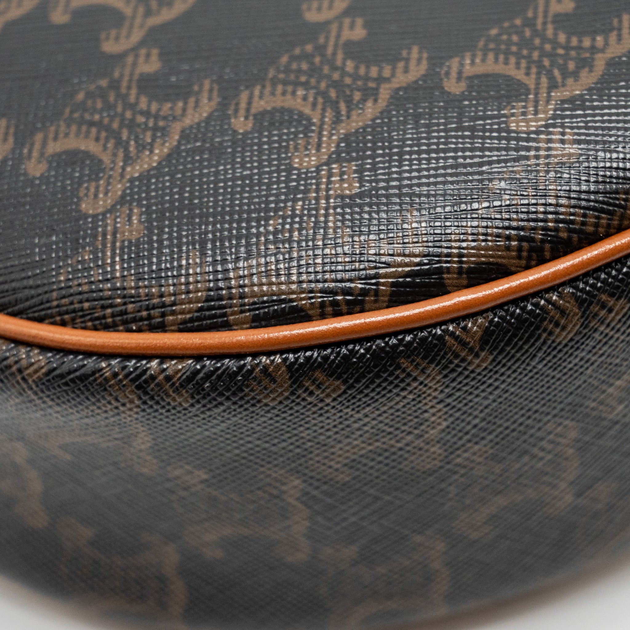CELINE AVA BAG TRIOMPHE CANVAS / CALFSKIN BROWN GHW