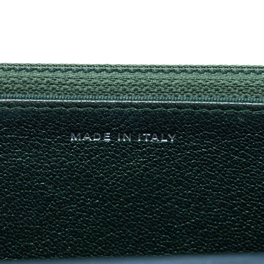CHANEL CLASSIC WALLET ON CHAIN GOATSKIN IRIDESCENT GREEN RAINBOW HARDWARE