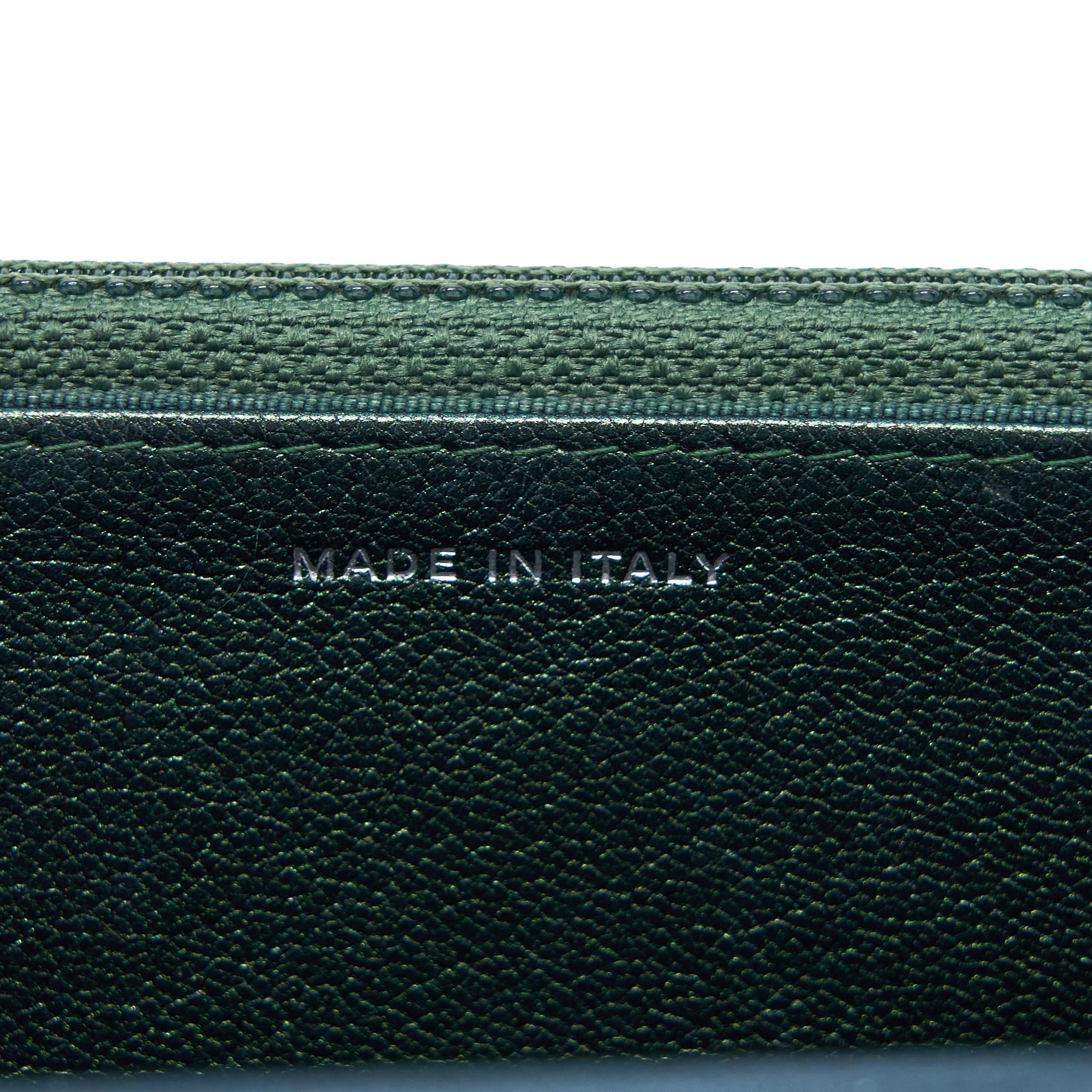 CHANEL CLASSIC WALLET ON CHAIN GOATSKIN IRIDESCENT GREEN RAINBOW HARDWARE