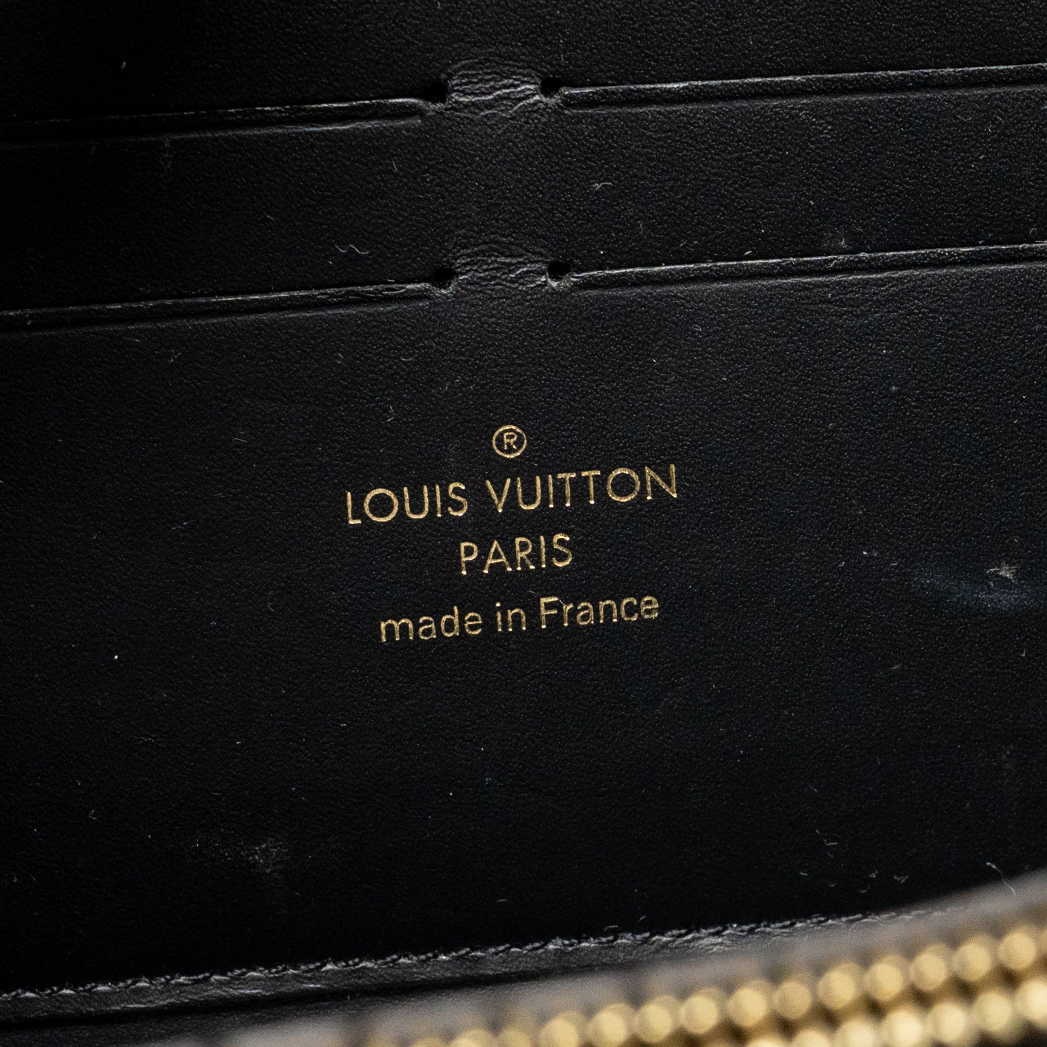 LOUIS VUITTON TWIST WALLET ON CHAIN MONOGRAM CANVAS / LEATHER MULTICOLOUR GHW